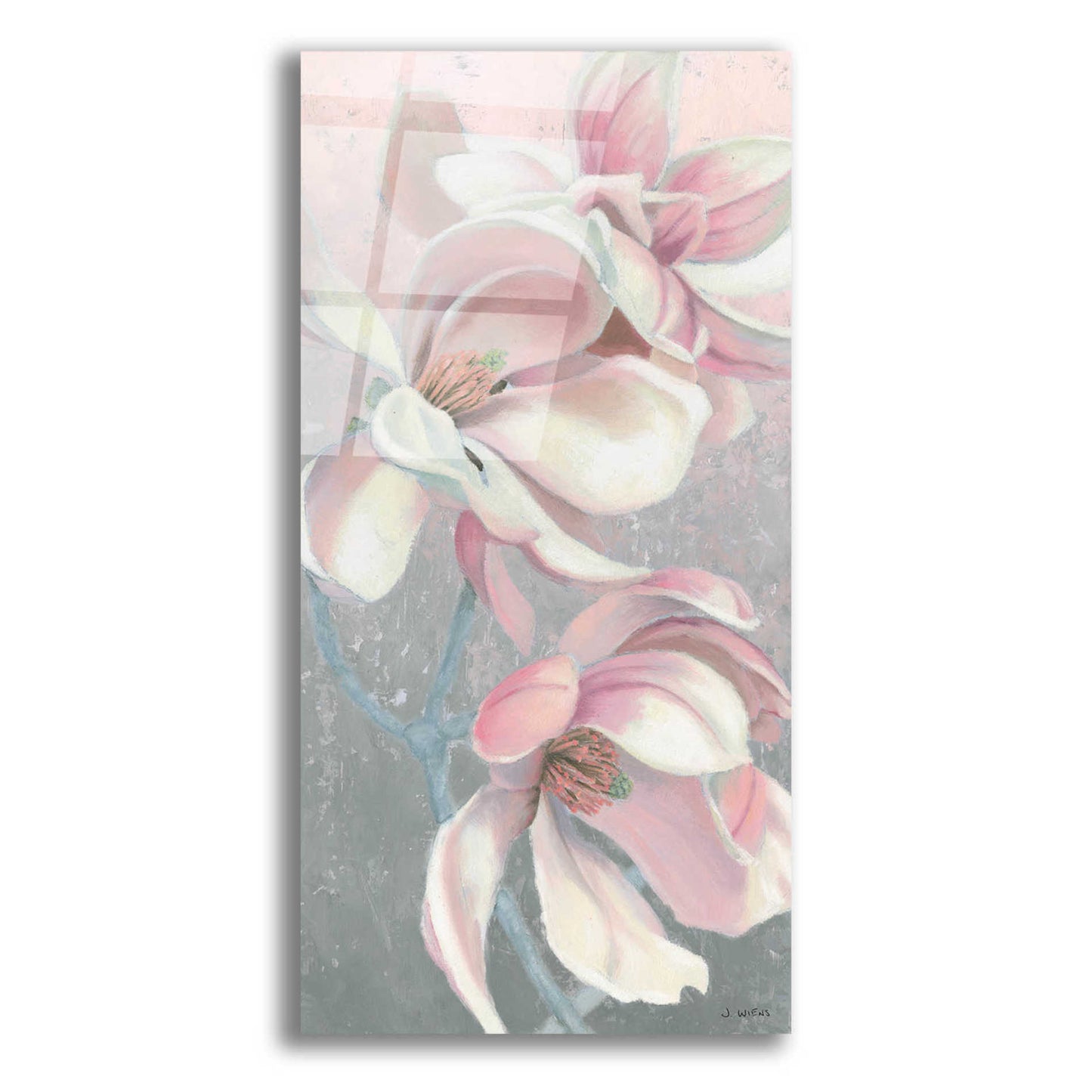 Epic Art 'Sunrise Blossom I' by James Wiens, Acrylic Glass Wall Art,12x24