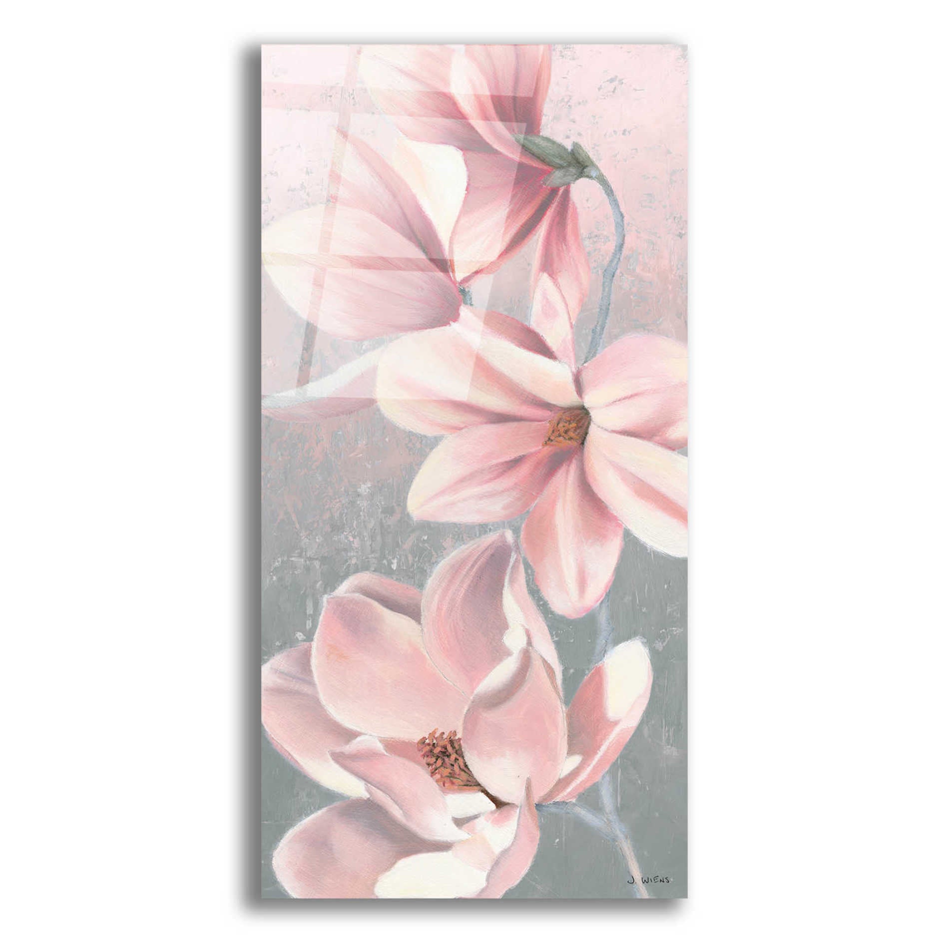 Epic Art 'Sunrise Blossom II' by James Wiens, Acrylic Glass Wall Art,12x24