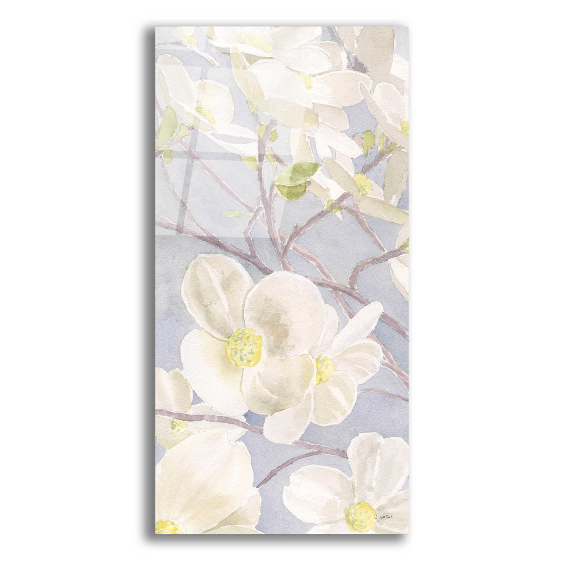 Epic Art 'Breezy Blossoms I' by James Wiens, Acrylic Glass Wall Art,12x24