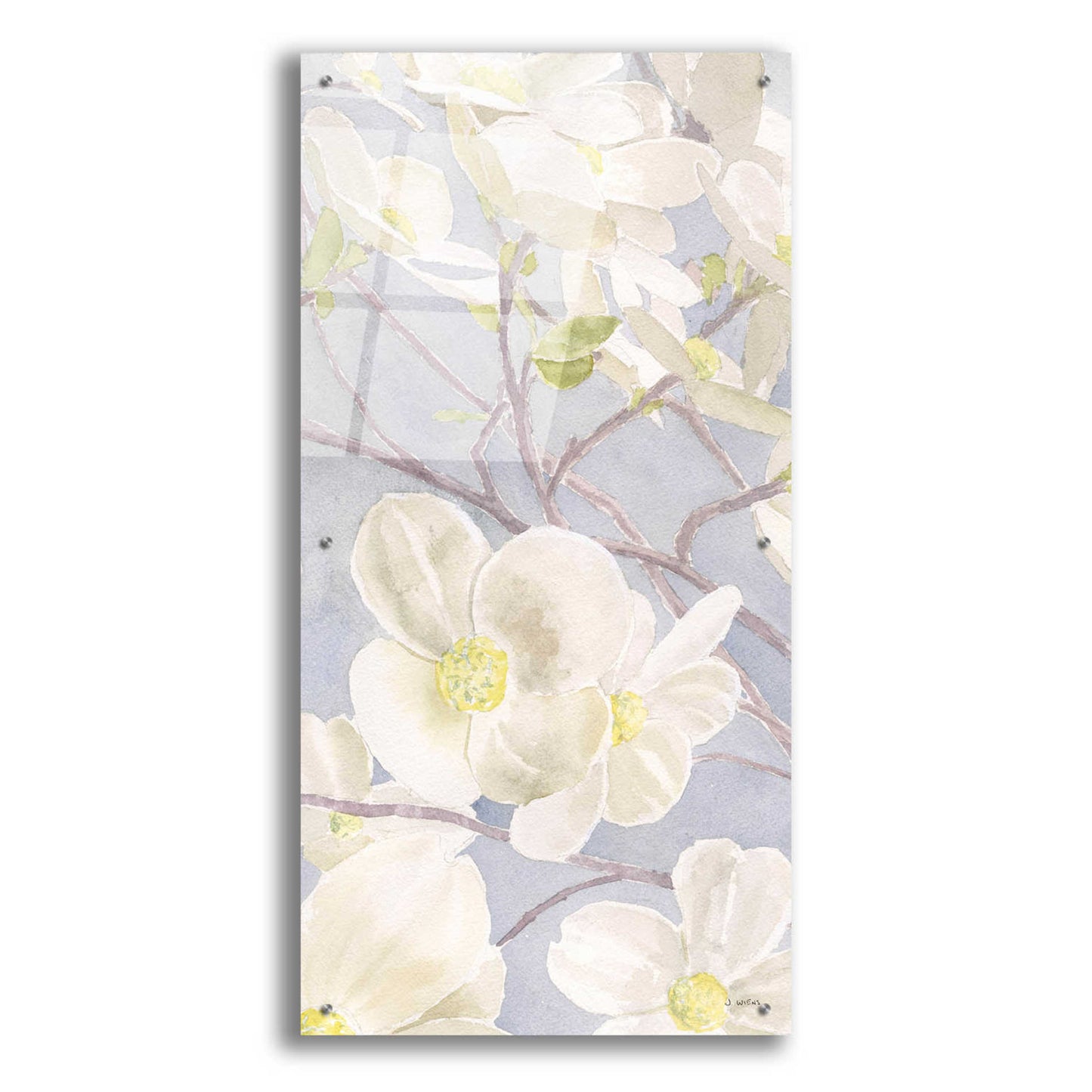 Epic Art 'Breezy Blossoms I' by James Wiens, Acrylic Glass Wall Art,24x48