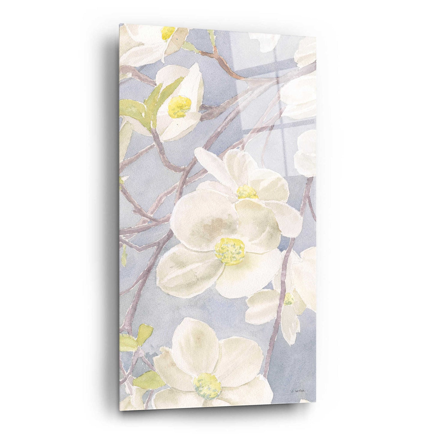 Epic Art 'Breezy Blossoms II' by James Wiens, Acrylic Glass Wall Art,12x24