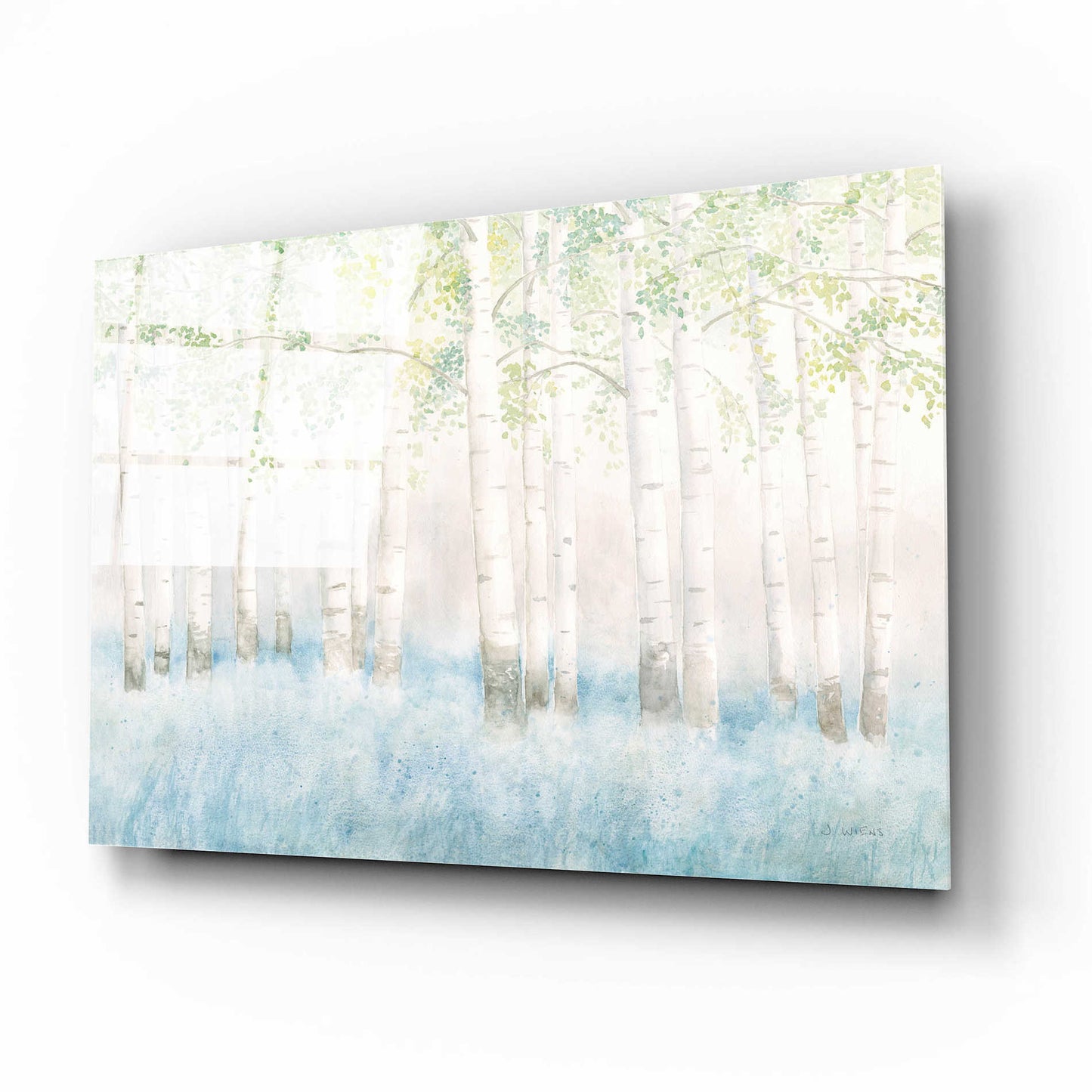 Epic Art 'Soft Birches' by James Wiens, Acrylic Glass Wall Art,16x12