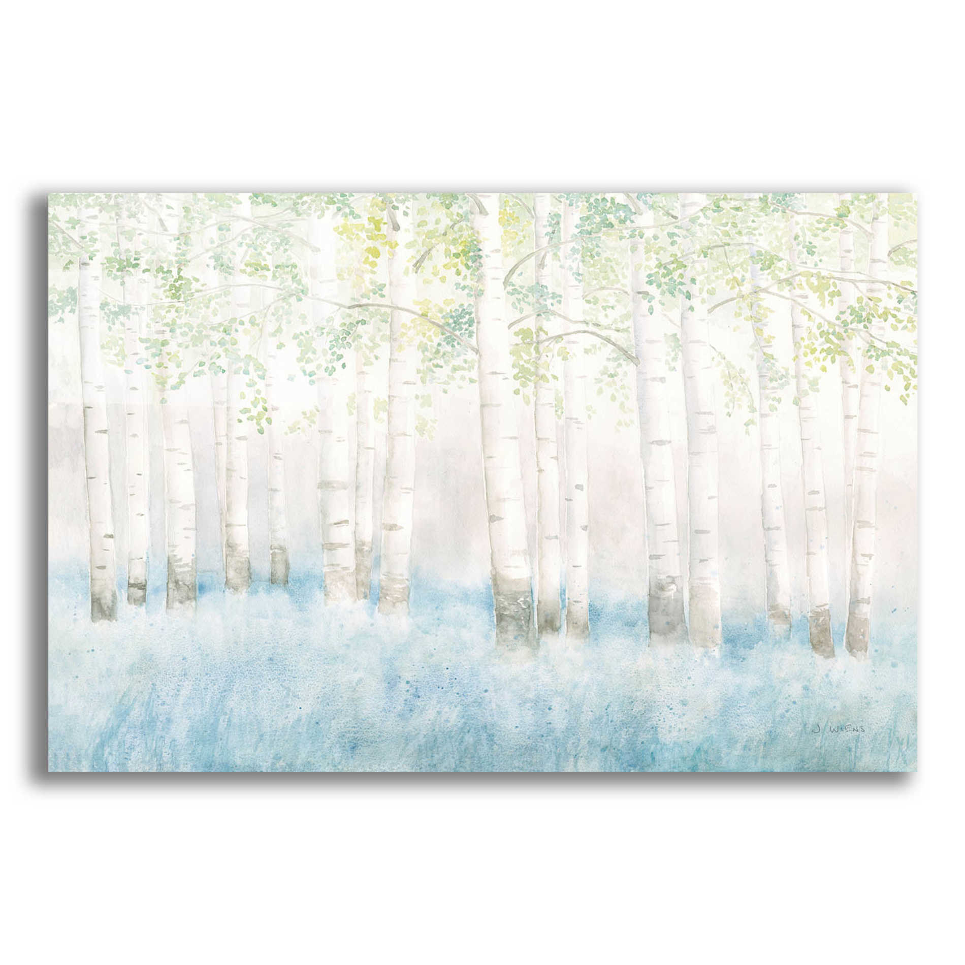 Epic Art 'Soft Birches' by James Wiens, Acrylic Glass Wall Art,16x12