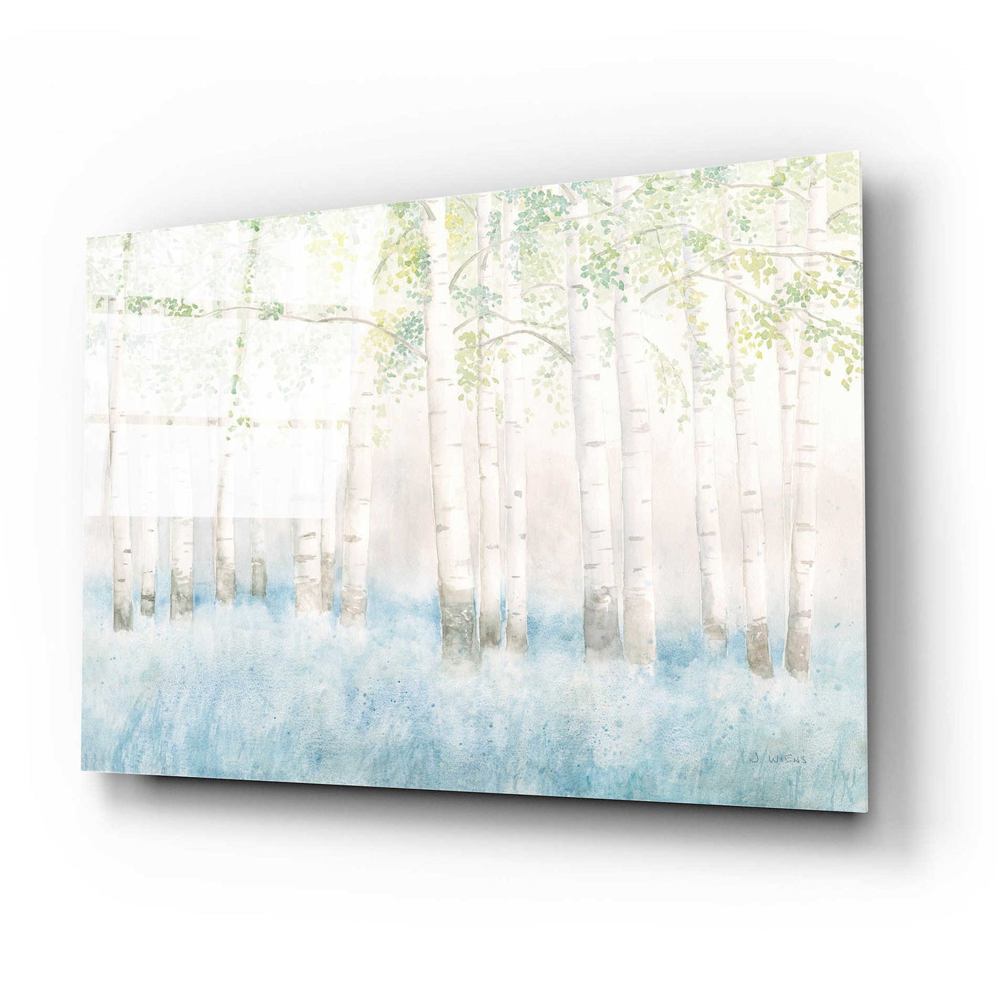 Epic Art 'Soft Birches' by James Wiens, Acrylic Glass Wall Art,24x16