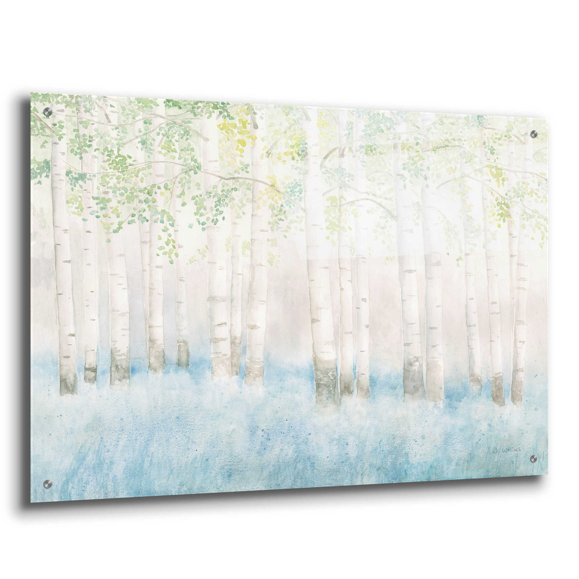 Epic Art 'Soft Birches' by James Wiens, Acrylic Glass Wall Art,36x24