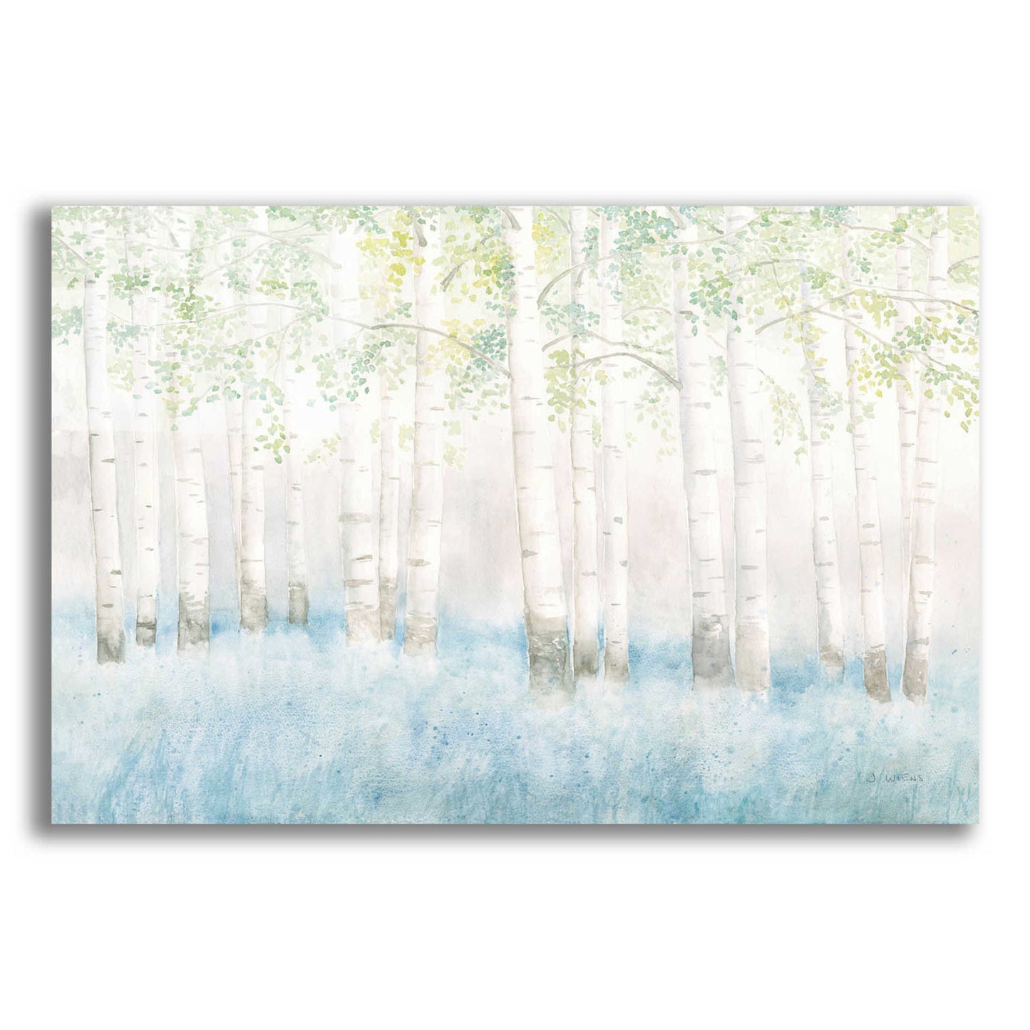 Epic Art 'Soft Birches' by James Wiens, Acrylic Glass Wall Art,16x12x1.1x0,26x18x1.1x0,34x26x1.74x0,54x40x1.74x0