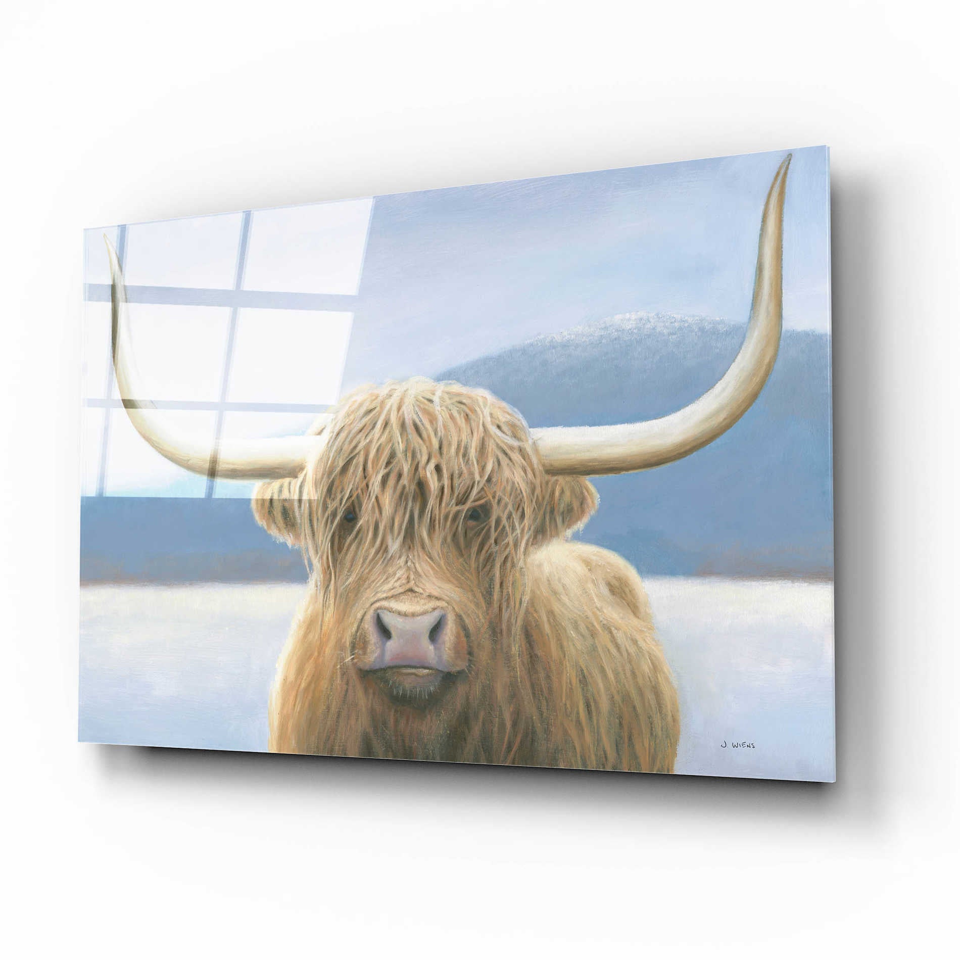 Epic Art 'Highland Cow' by James Wiens, Acrylic Glass Wall Art,16x12