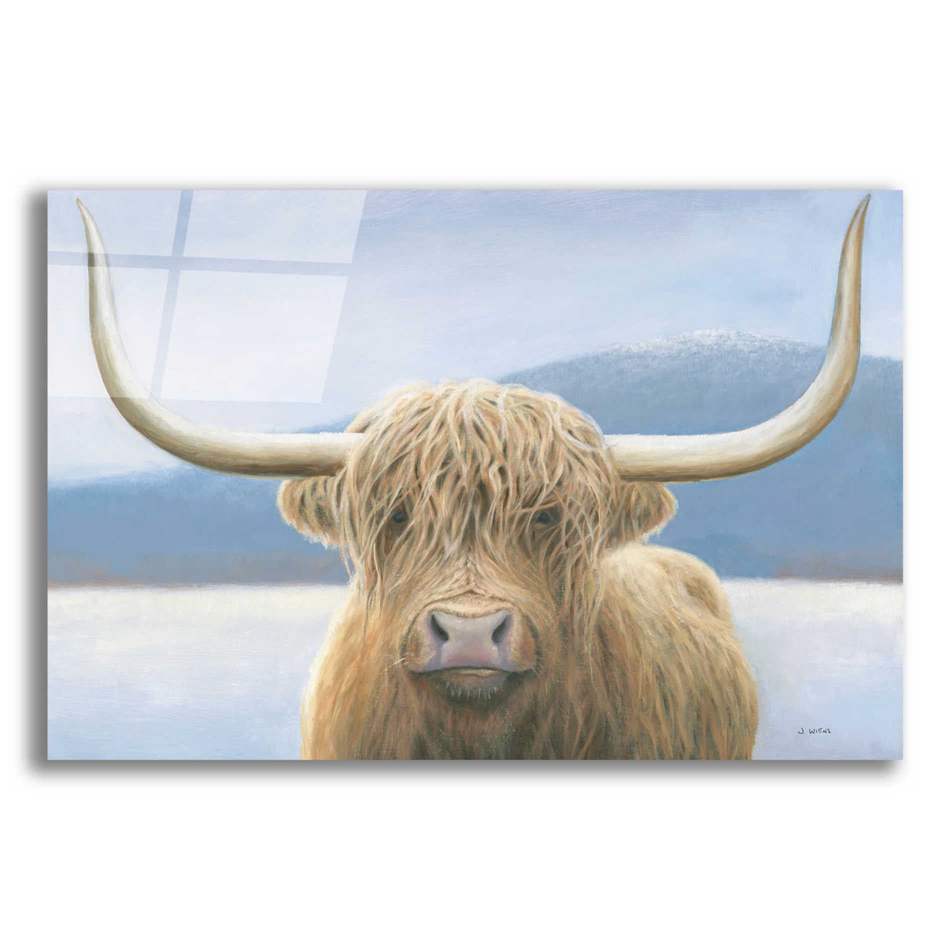 Epic Art 'Highland Cow' by James Wiens, Acrylic Glass Wall Art,16x12