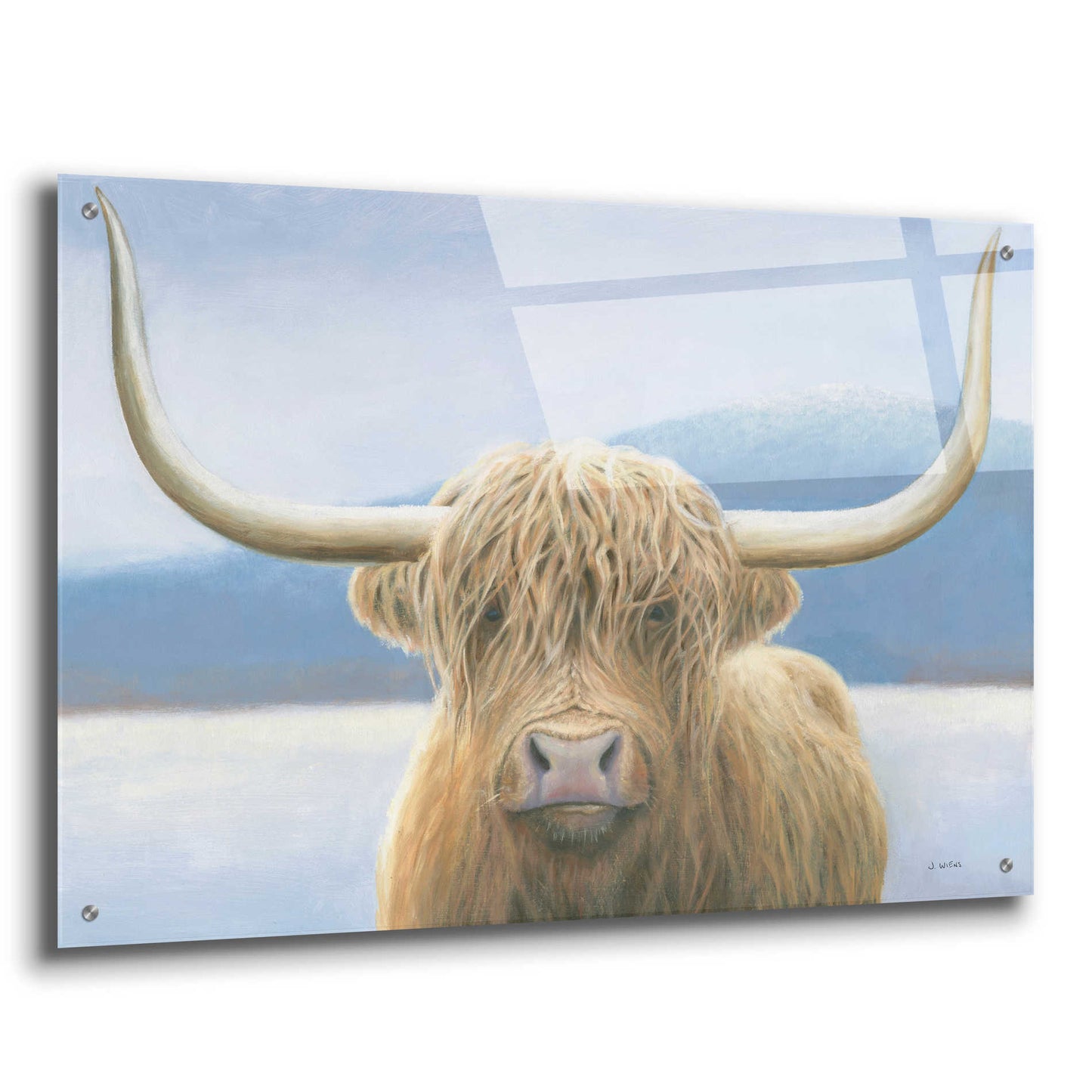 Epic Art 'Highland Cow' by James Wiens, Acrylic Glass Wall Art,36x24