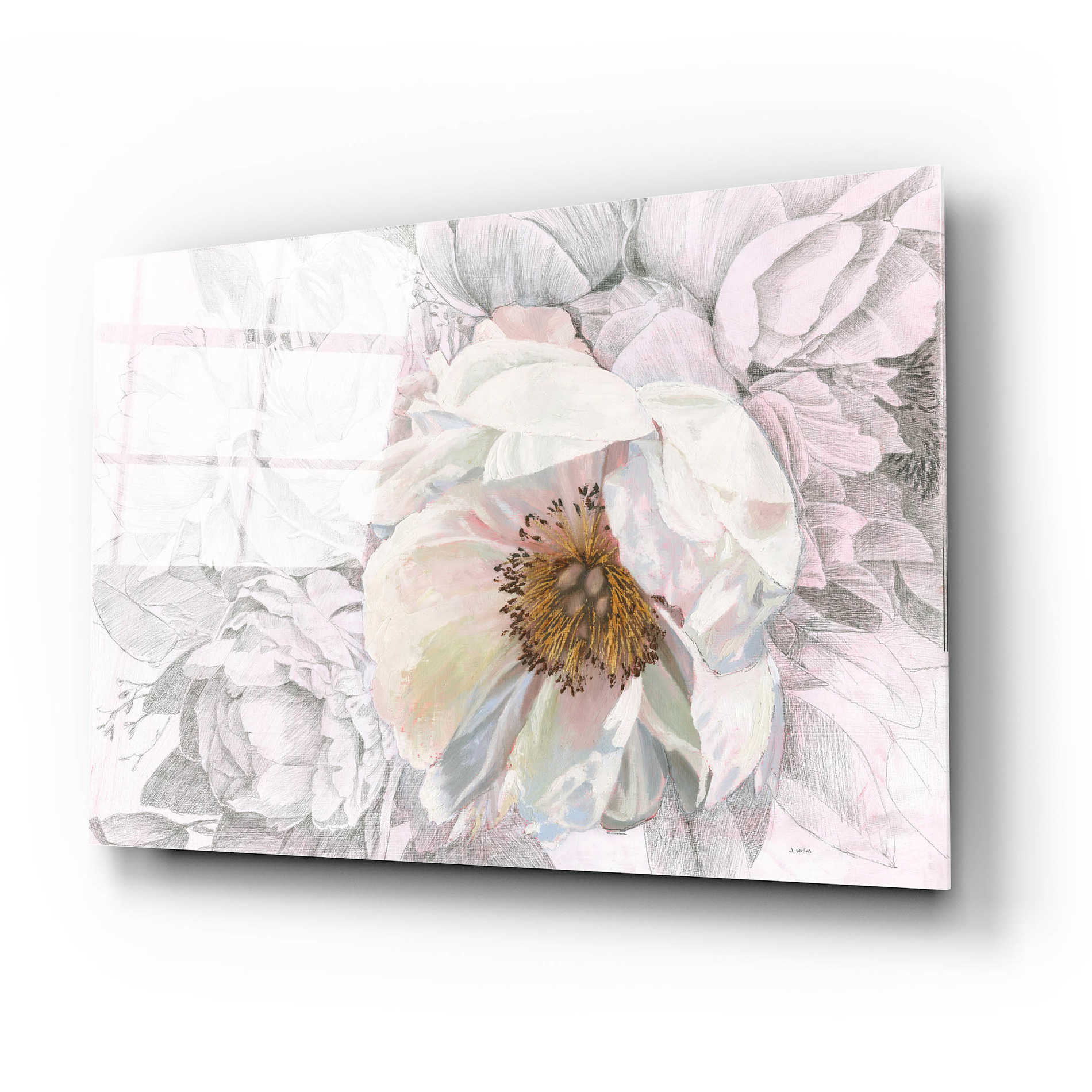 Epic Art 'Blooming Sketch' by James Wiens, Acrylic Glass Wall Art,24x16