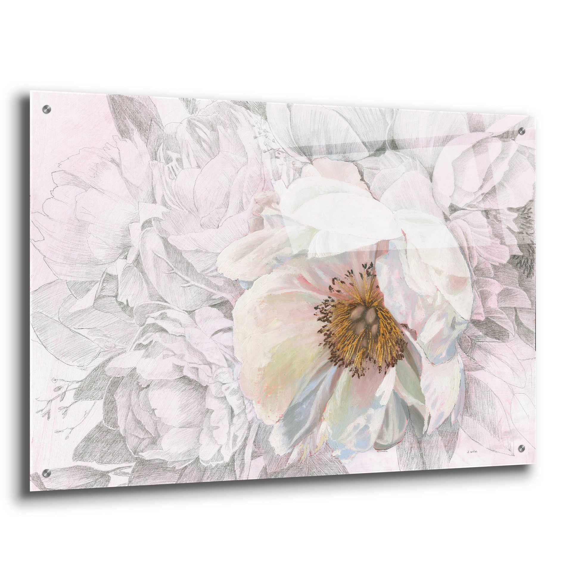 Epic Art 'Blooming Sketch' by James Wiens, Acrylic Glass Wall Art,36x24