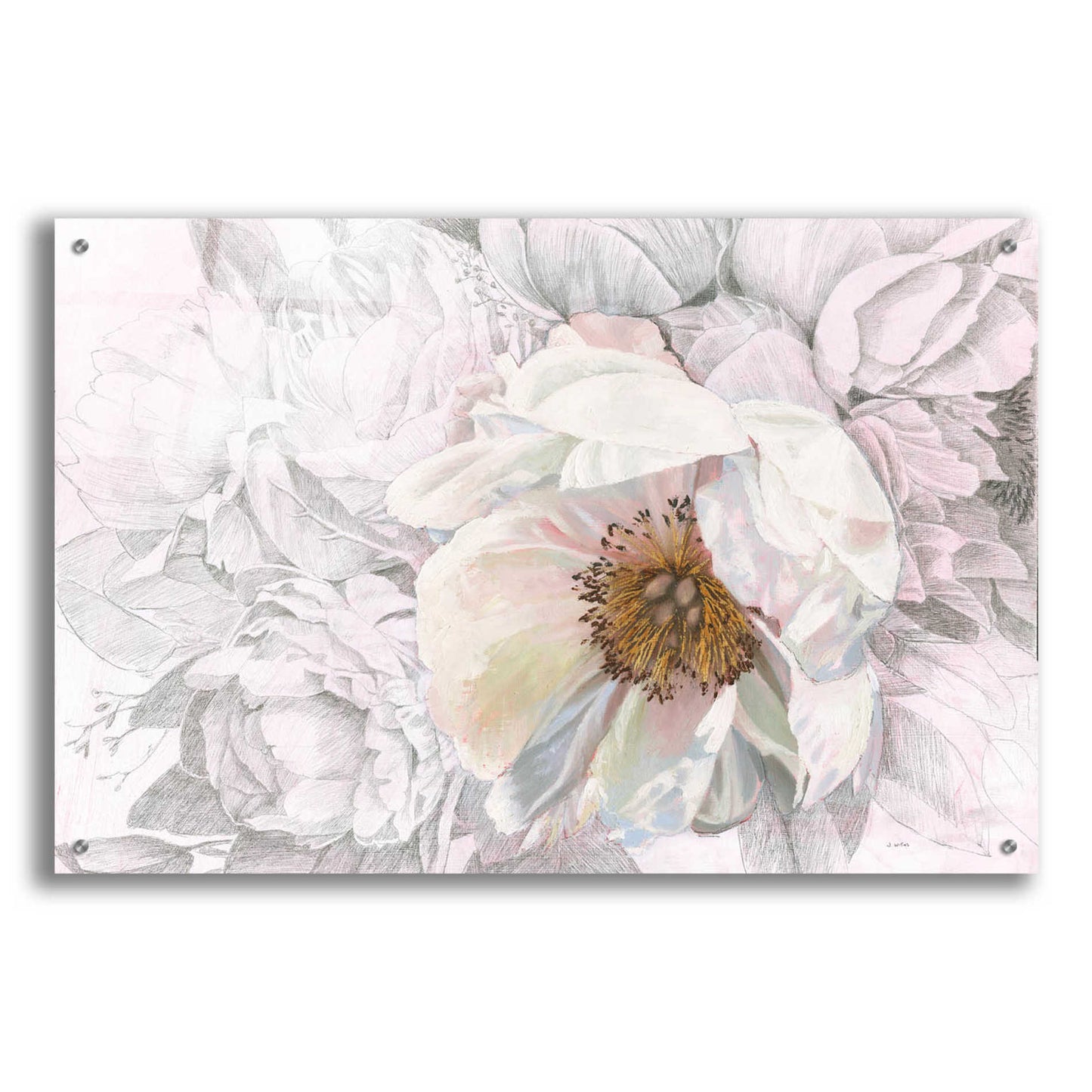 Epic Art 'Blooming Sketch' by James Wiens, Acrylic Glass Wall Art,36x24