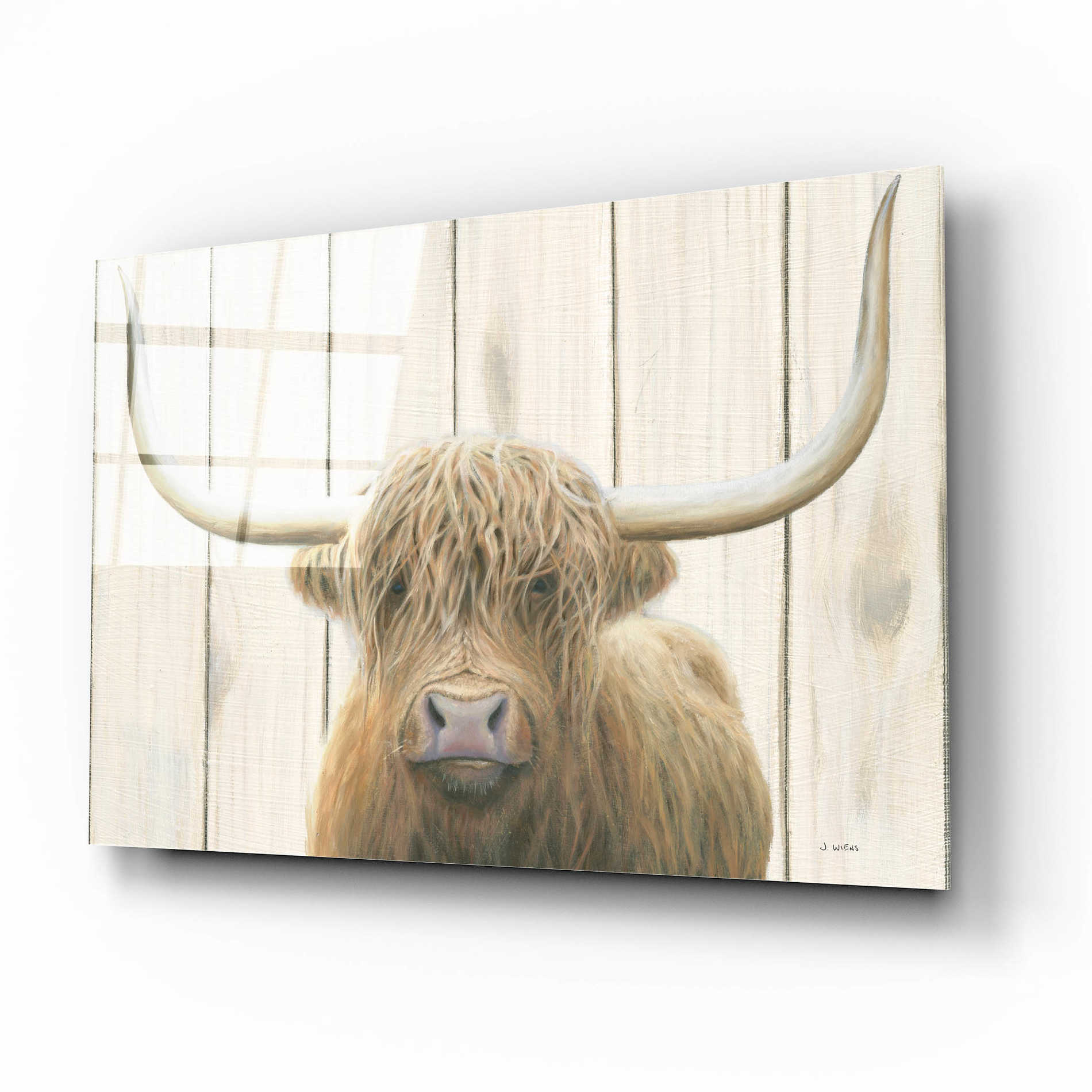 Epic Art 'Highland Cow Shiplap' by James Wiens, Acrylic Glass Wall Art,16x12
