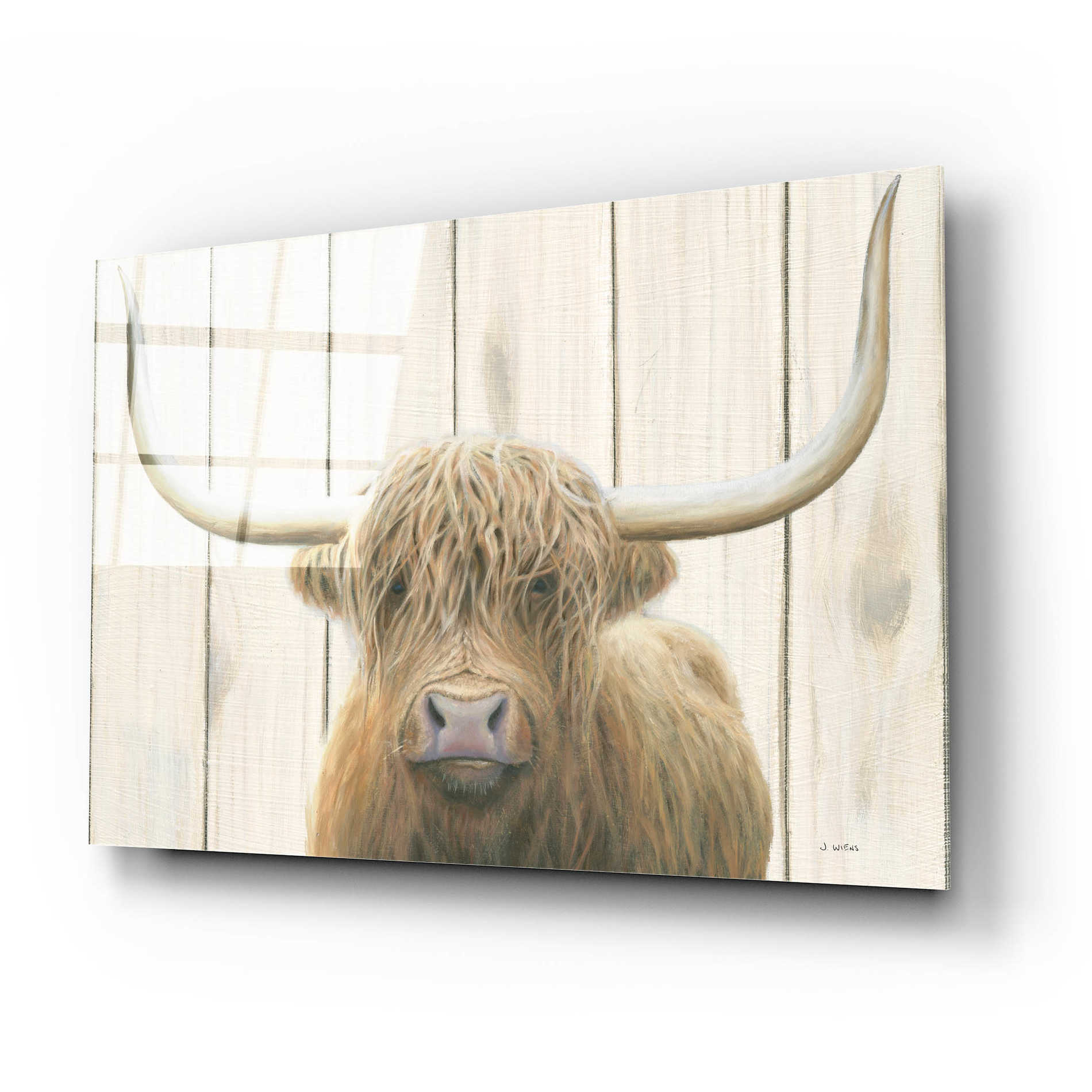 Epic Art 'Highland Cow Shiplap' by James Wiens, Acrylic Glass Wall Art,24x16