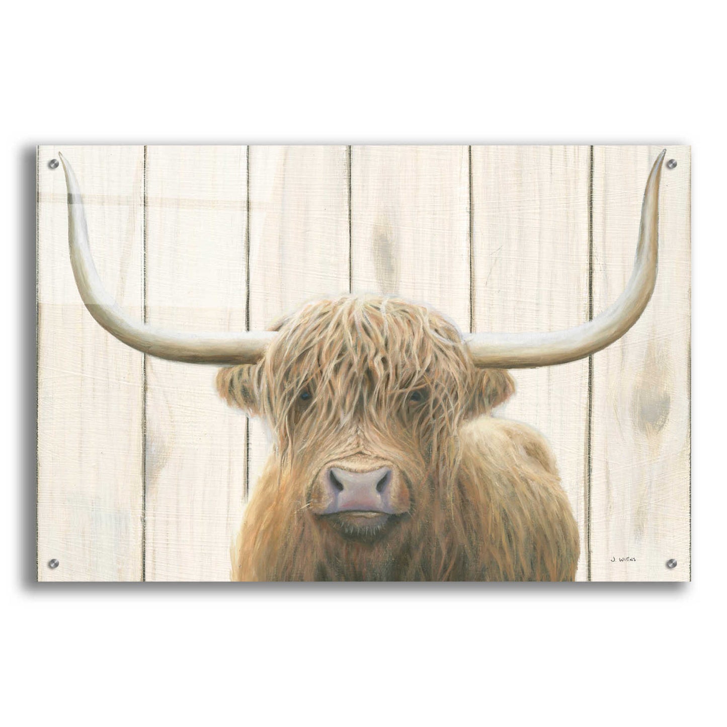 Epic Art 'Highland Cow Shiplap' by James Wiens, Acrylic Glass Wall Art,36x24