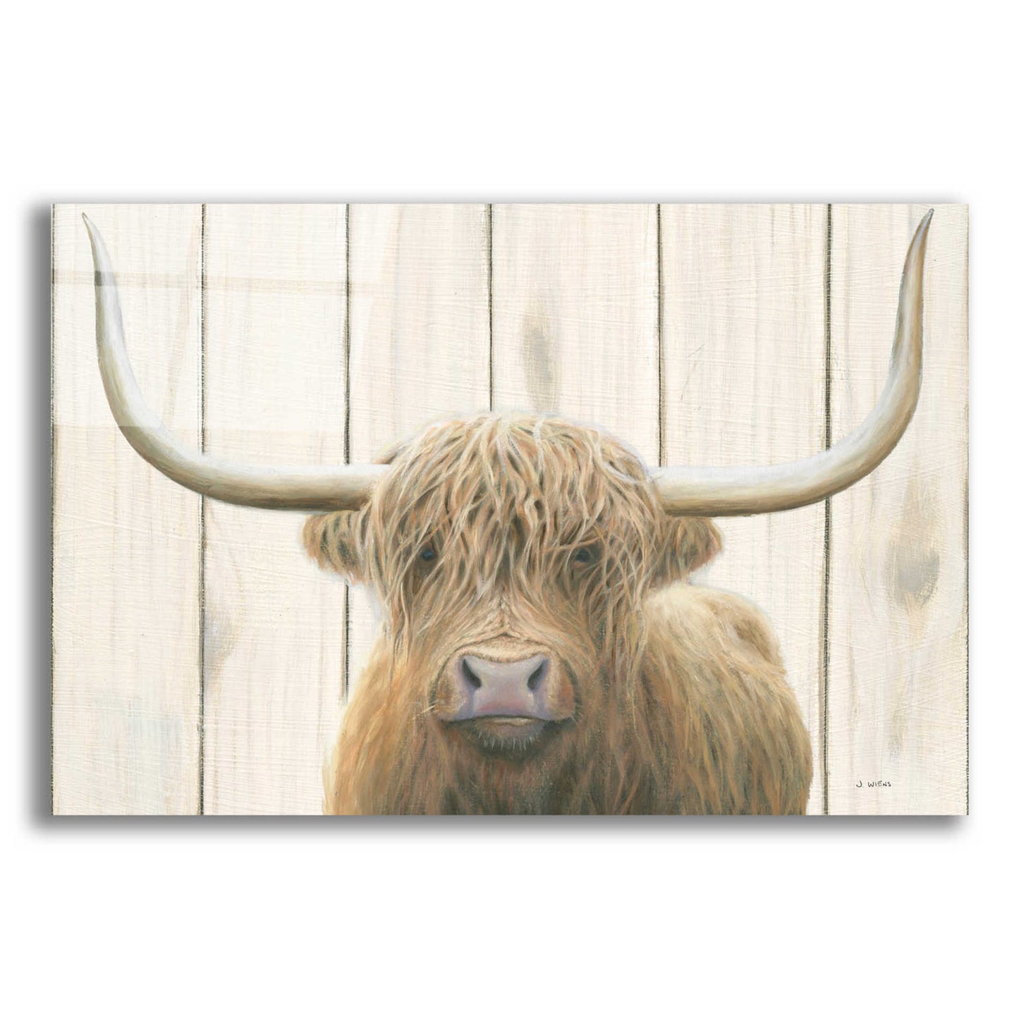 Epic Art 'Highland Cow Shiplap' by James Wiens, Acrylic Glass Wall Art,18x12x1.1x0,26x18x1.1x0,40x26x1.74x0,60x40x1.74x0