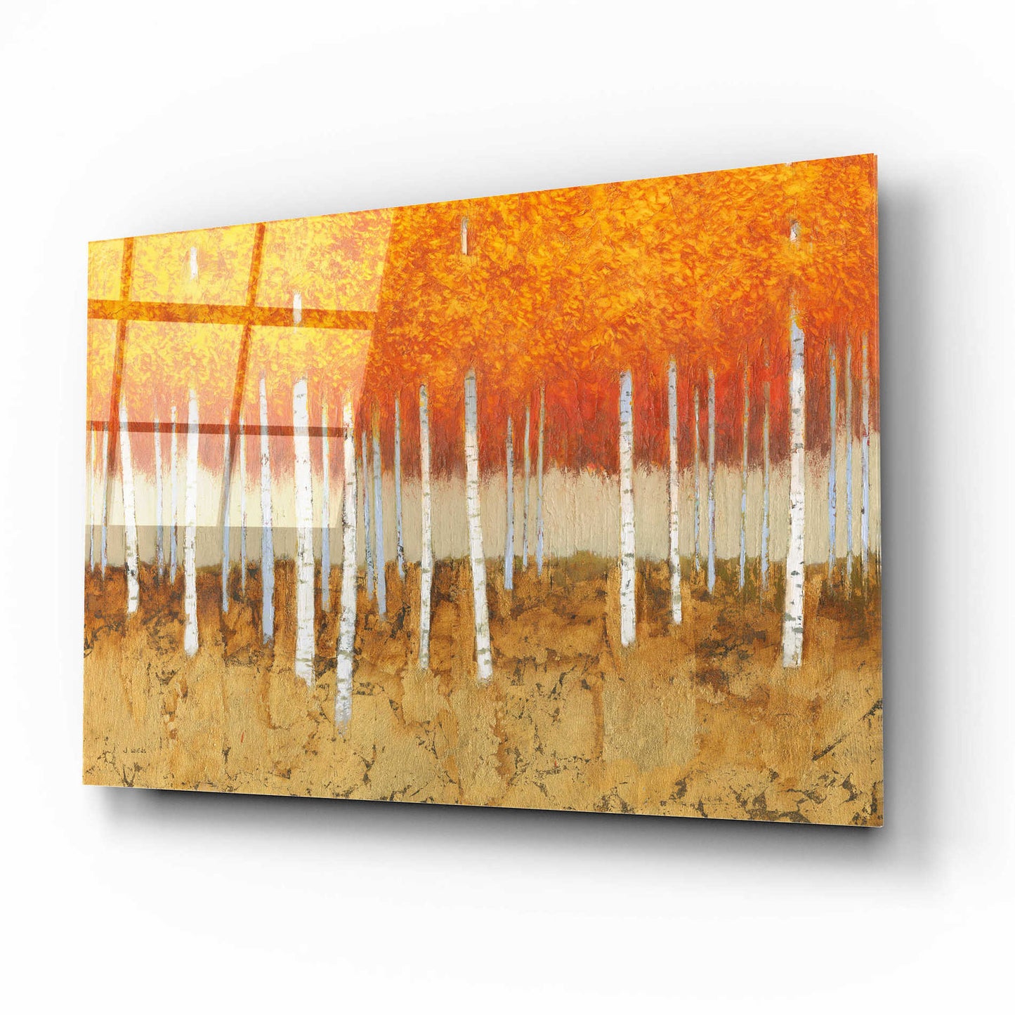 Epic Art 'Autumn Birches' by James Wiens, Acrylic Glass Wall Art,16x12