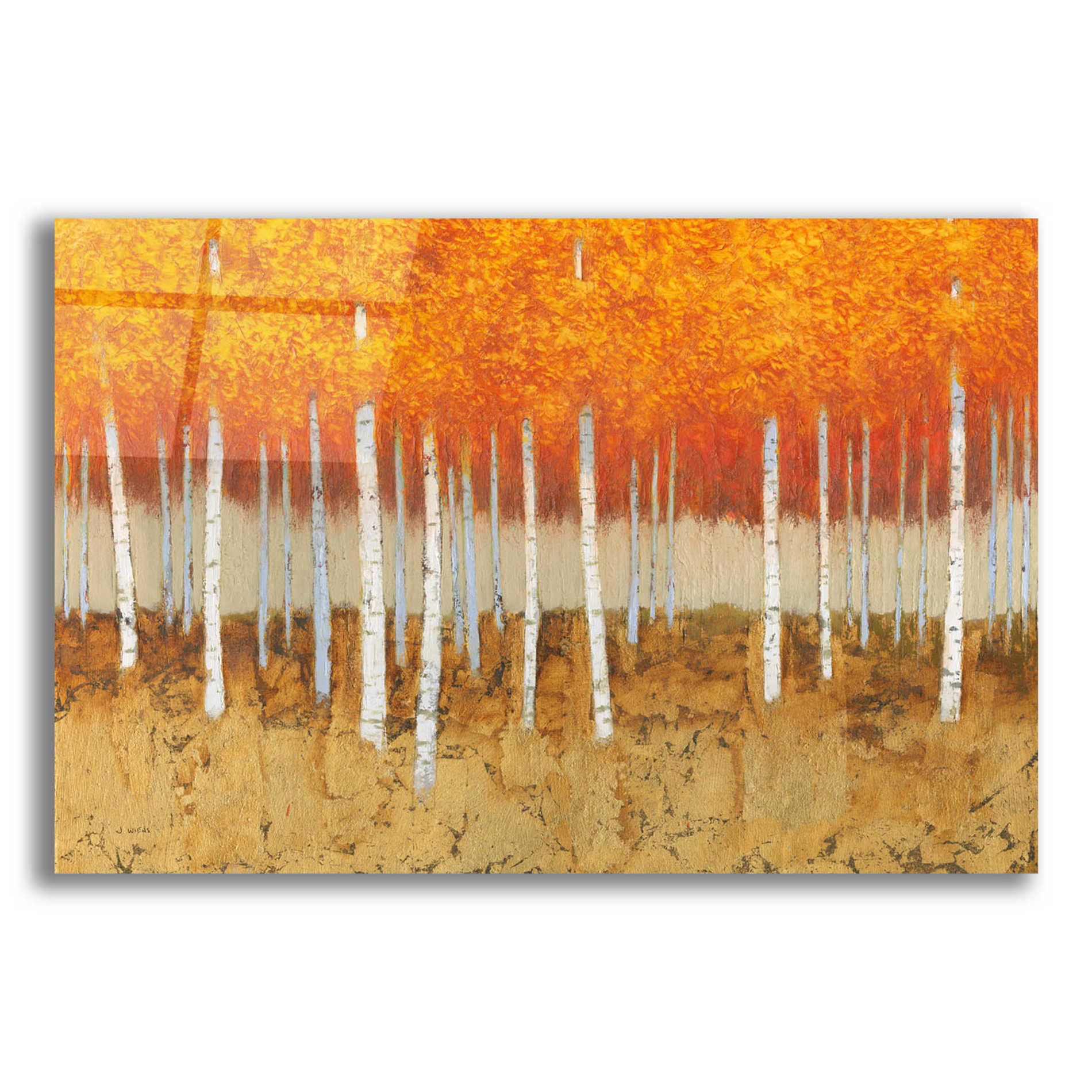 Epic Art 'Autumn Birches' by James Wiens, Acrylic Glass Wall Art,16x12