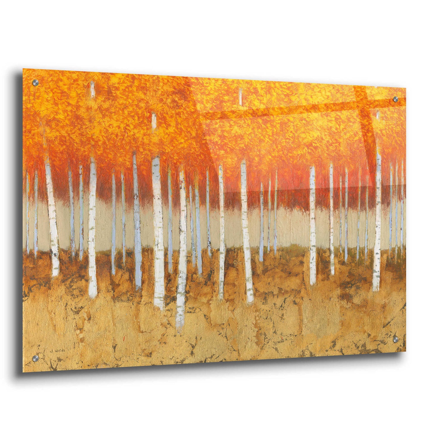 Epic Art 'Autumn Birches' by James Wiens, Acrylic Glass Wall Art,36x24