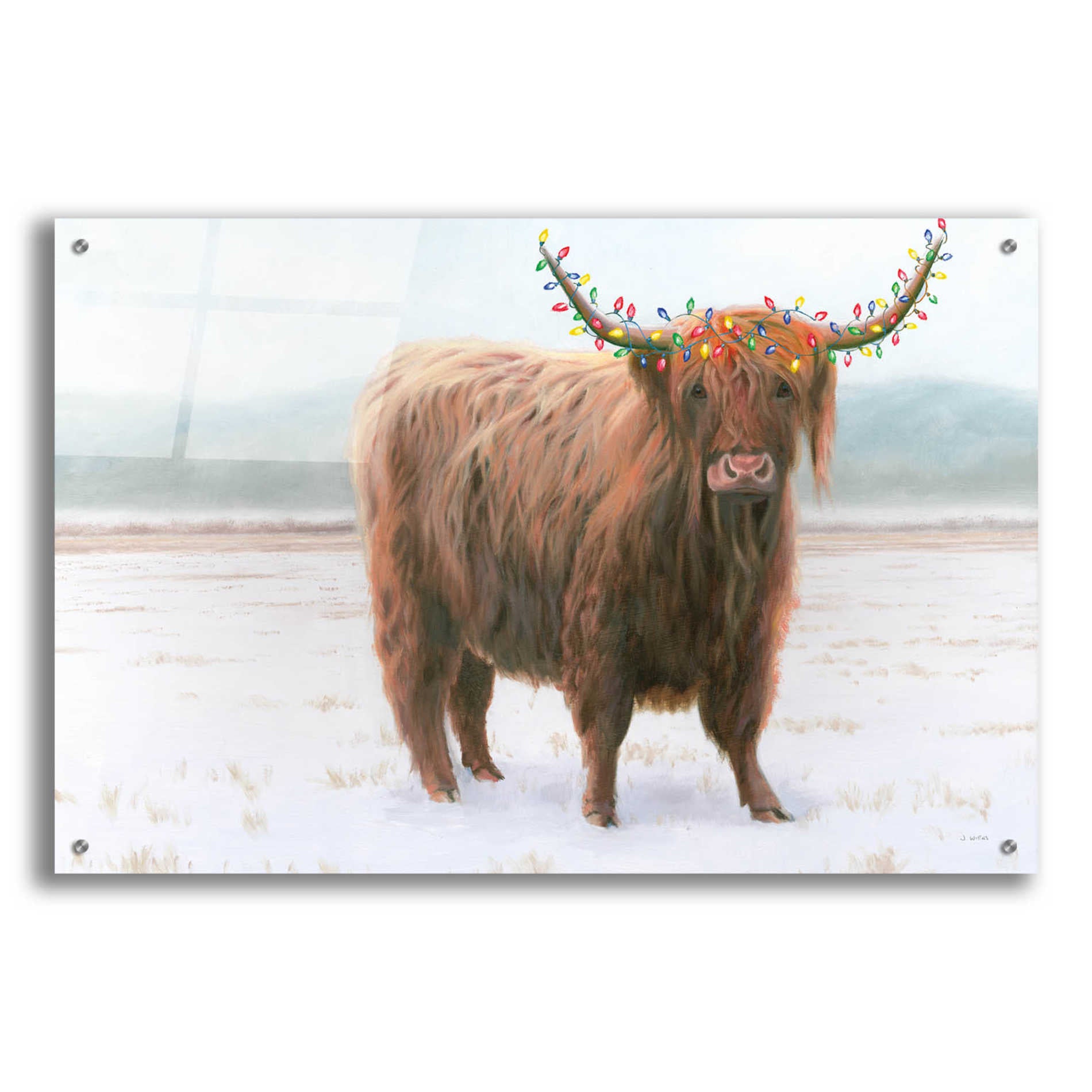 Epic Art 'King of the Highland Fields Lights' by James Wiens, Acrylic Glass Wall Art,36x24