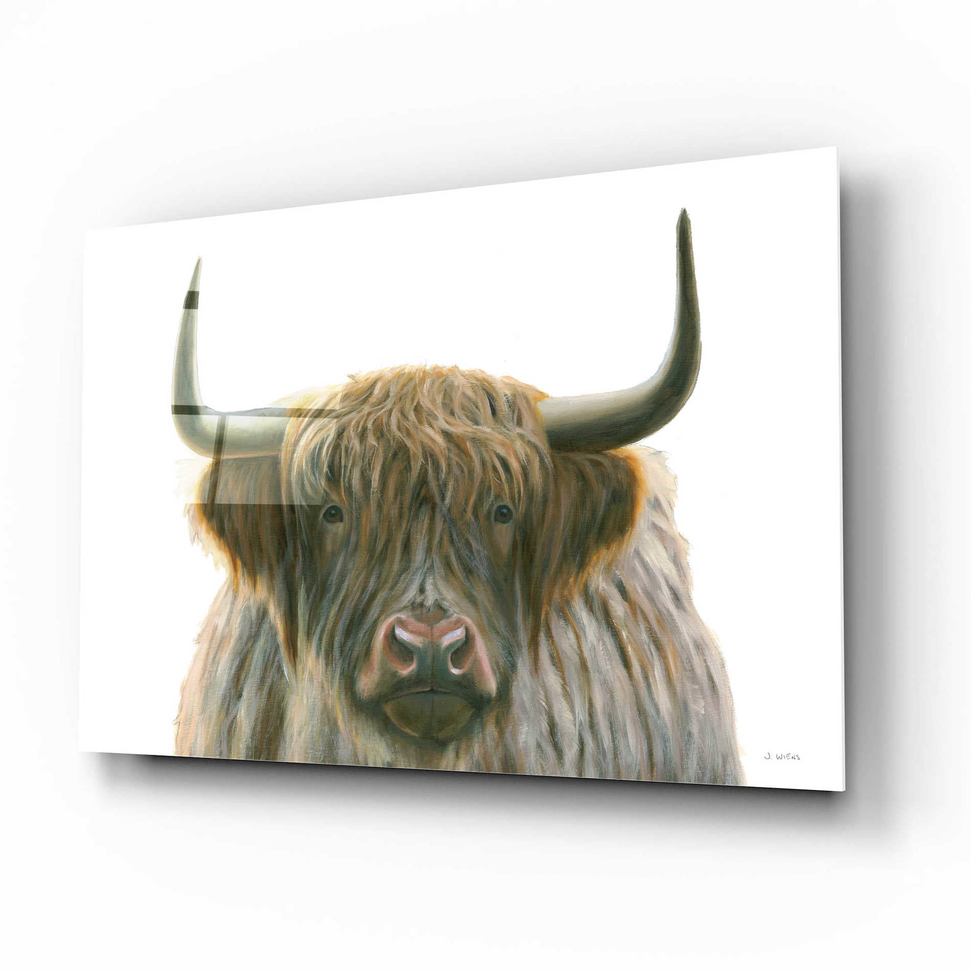 Epic Art 'Highlander' by James Wiens, Acrylic Glass Wall Art,16x12