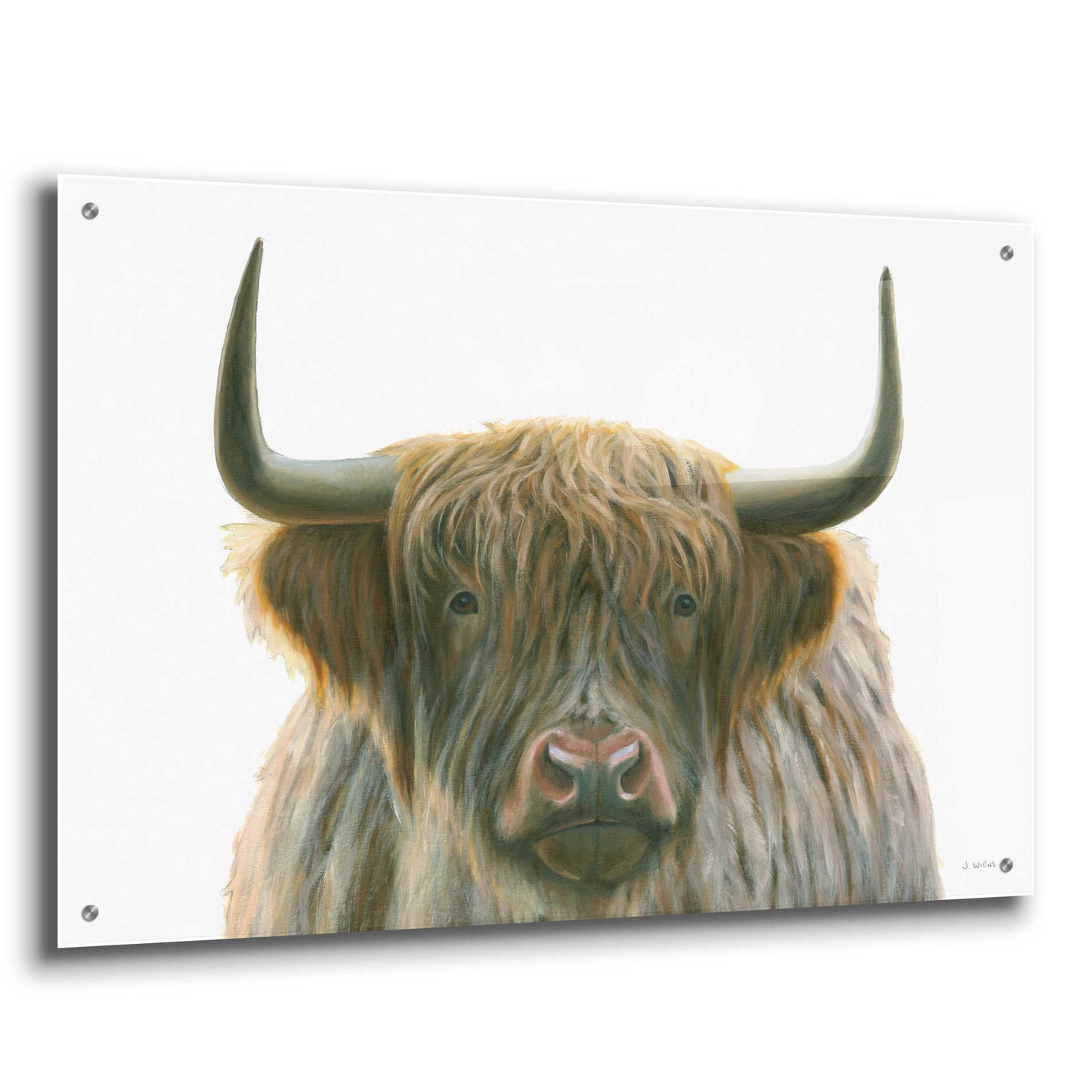 Epic Art 'Highlander' by James Wiens, Acrylic Glass Wall Art,36x24