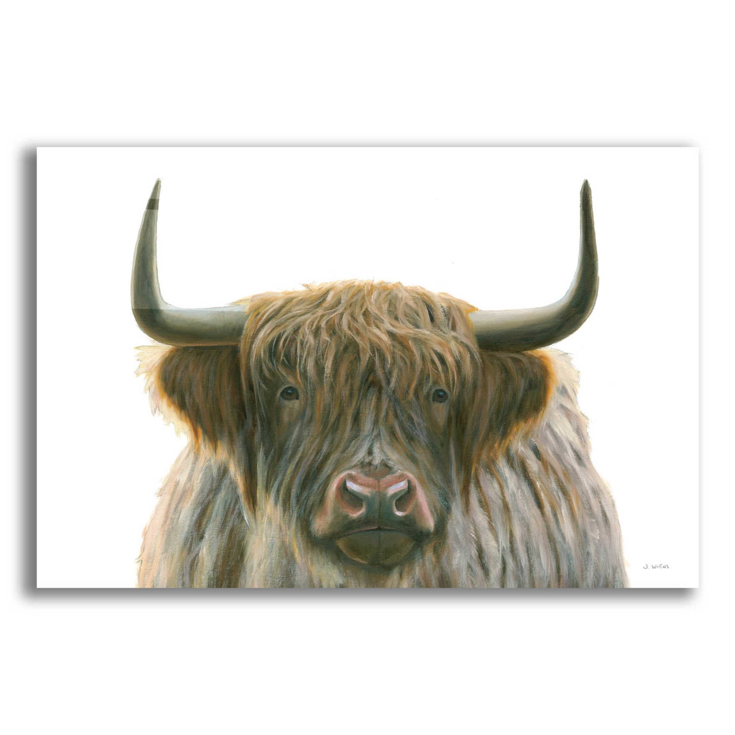 Epic Art 'Highlander' by James Wiens, Acrylic Glass Wall Art,18x12x1.1x0,26x18x1.1x0,40x26x1.74x0,60x40x1.74x0