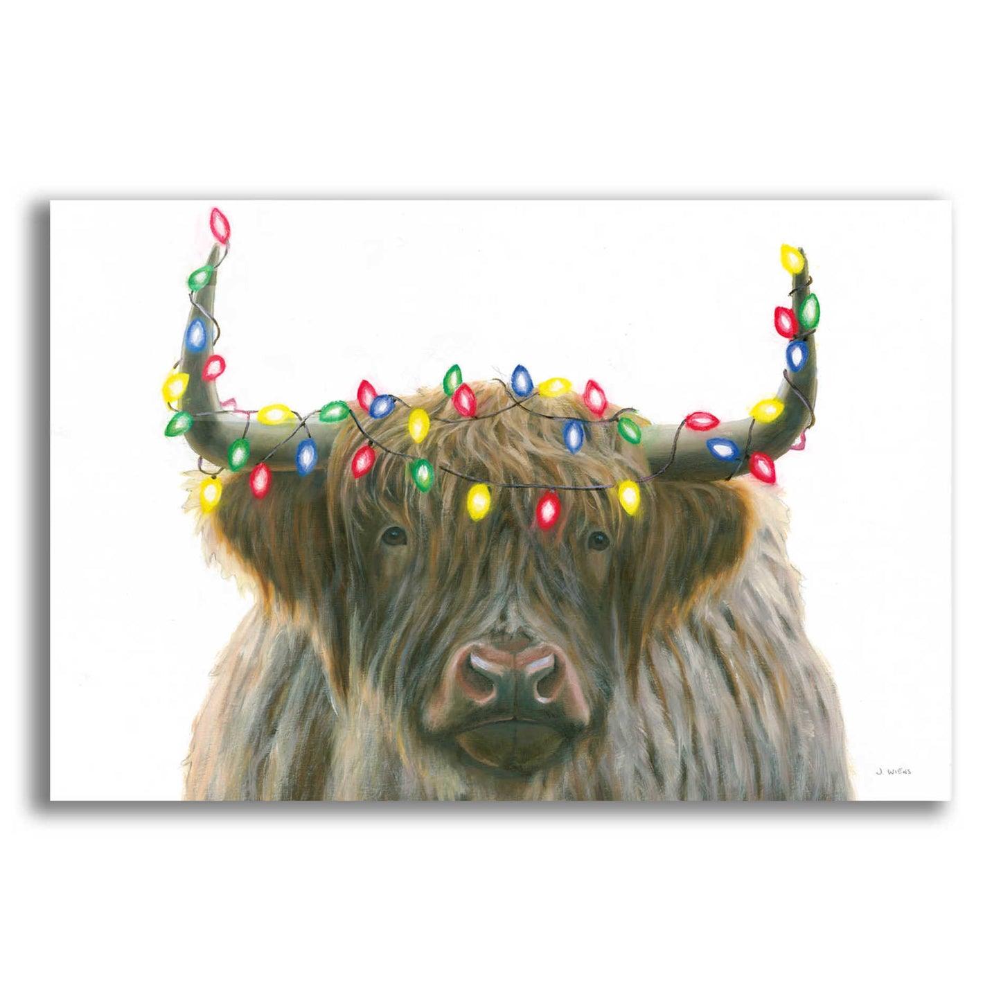 Epic Art 'Holiday Highlander' by James Wiens, Acrylic Glass Wall Art,18x12x1.1x0,26x18x1.1x0,40x26x1.74x0,60x40x1.74x0
