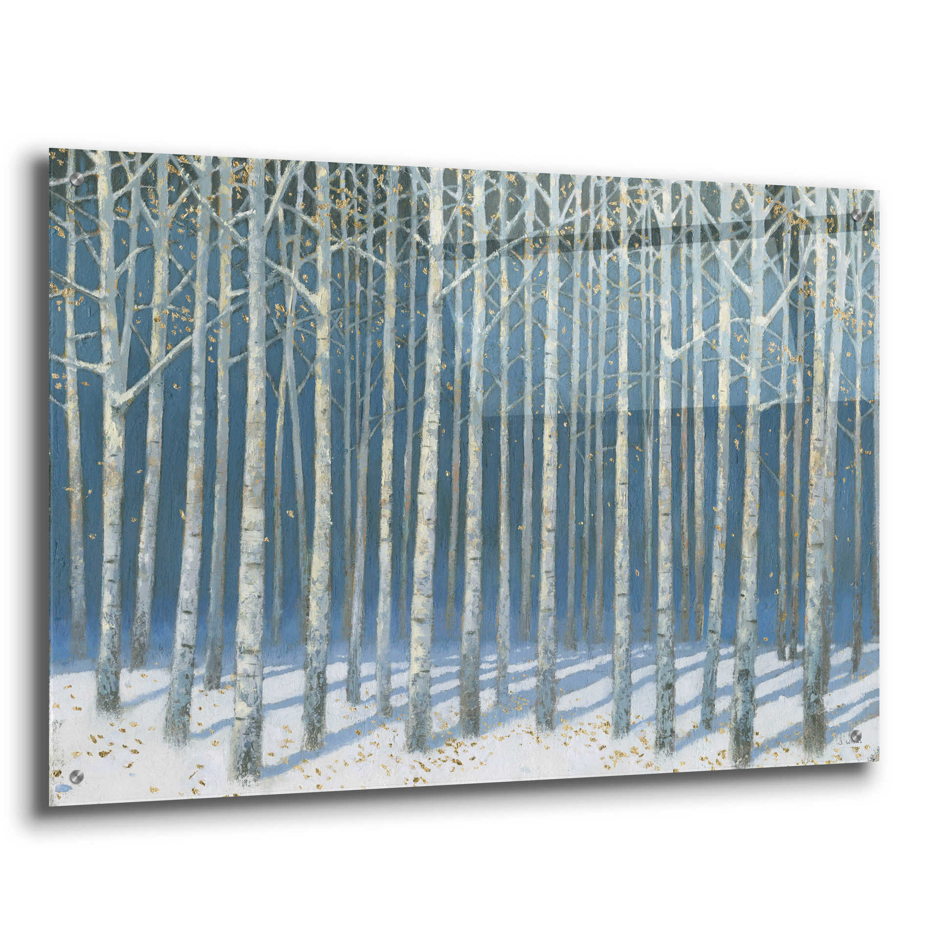 Epic Art 'Shimmering Birches' by James Wiens, Acrylic Glass Wall Art,36x24