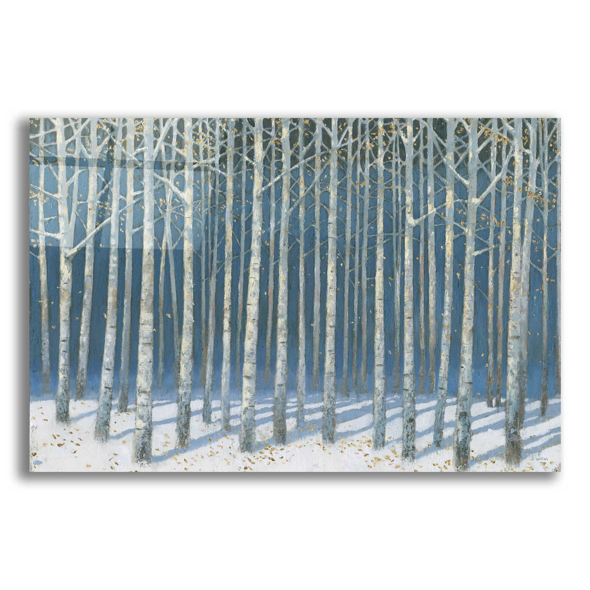 Epic Art 'Shimmering Birches' by James Wiens, Acrylic Glass Wall Art,18x12x1.1x0,26x18x1.1x0,40x26x1.74x0,60x40x1.74x0