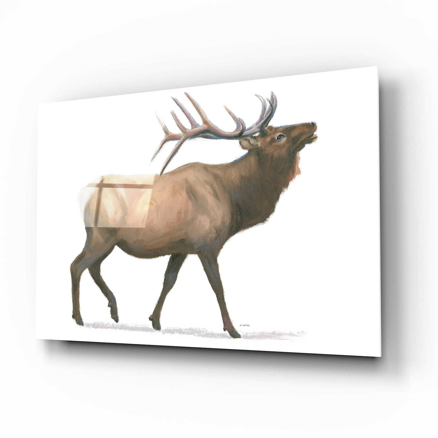 Epic Art 'Northern Wild III' by James Wiens, Acrylic Glass Wall Art,16x12