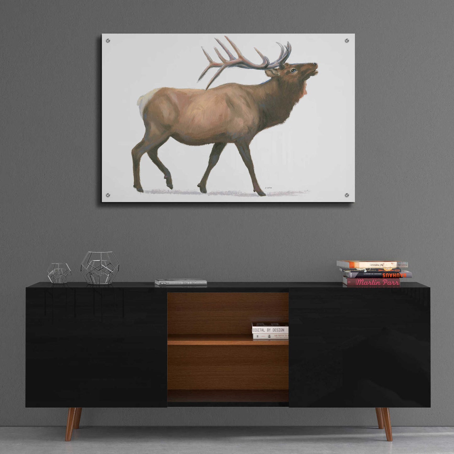 Epic Art 'Northern Wild III' by James Wiens, Acrylic Glass Wall Art,36x24