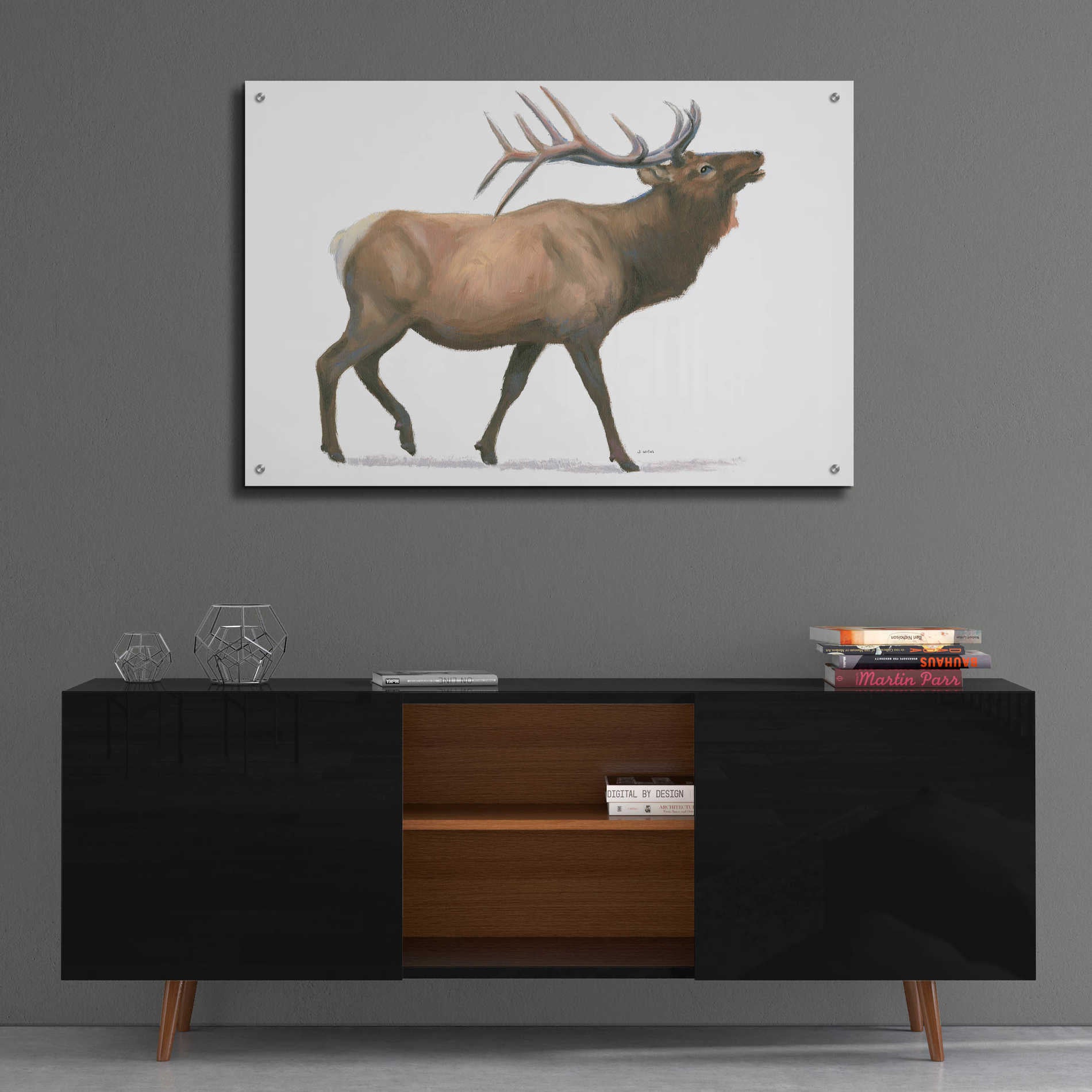 Epic Art 'Northern Wild III' by James Wiens, Acrylic Glass Wall Art,36x24