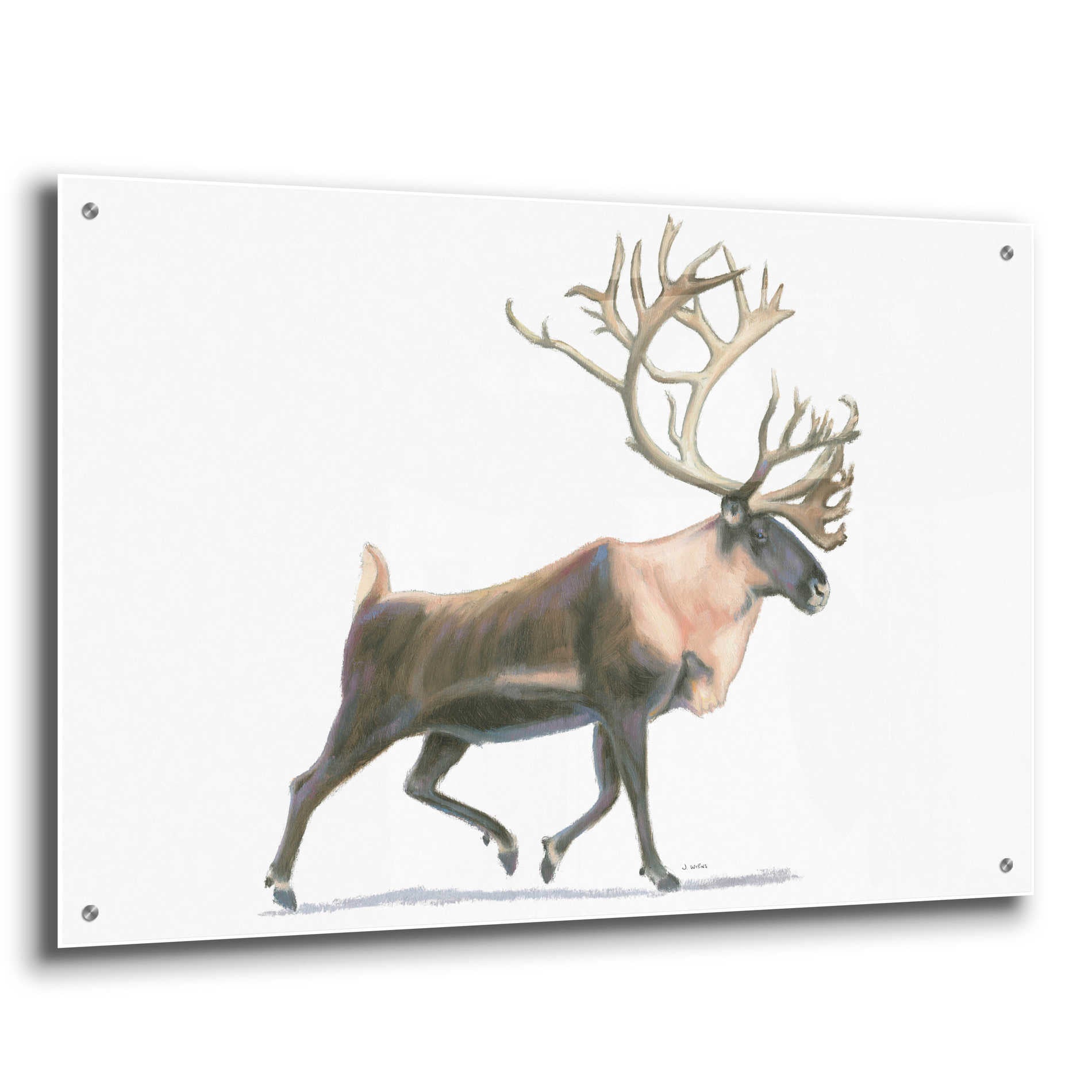 Epic Art 'Northern Wild IV' by James Wiens, Acrylic Glass Wall Art,36x24
