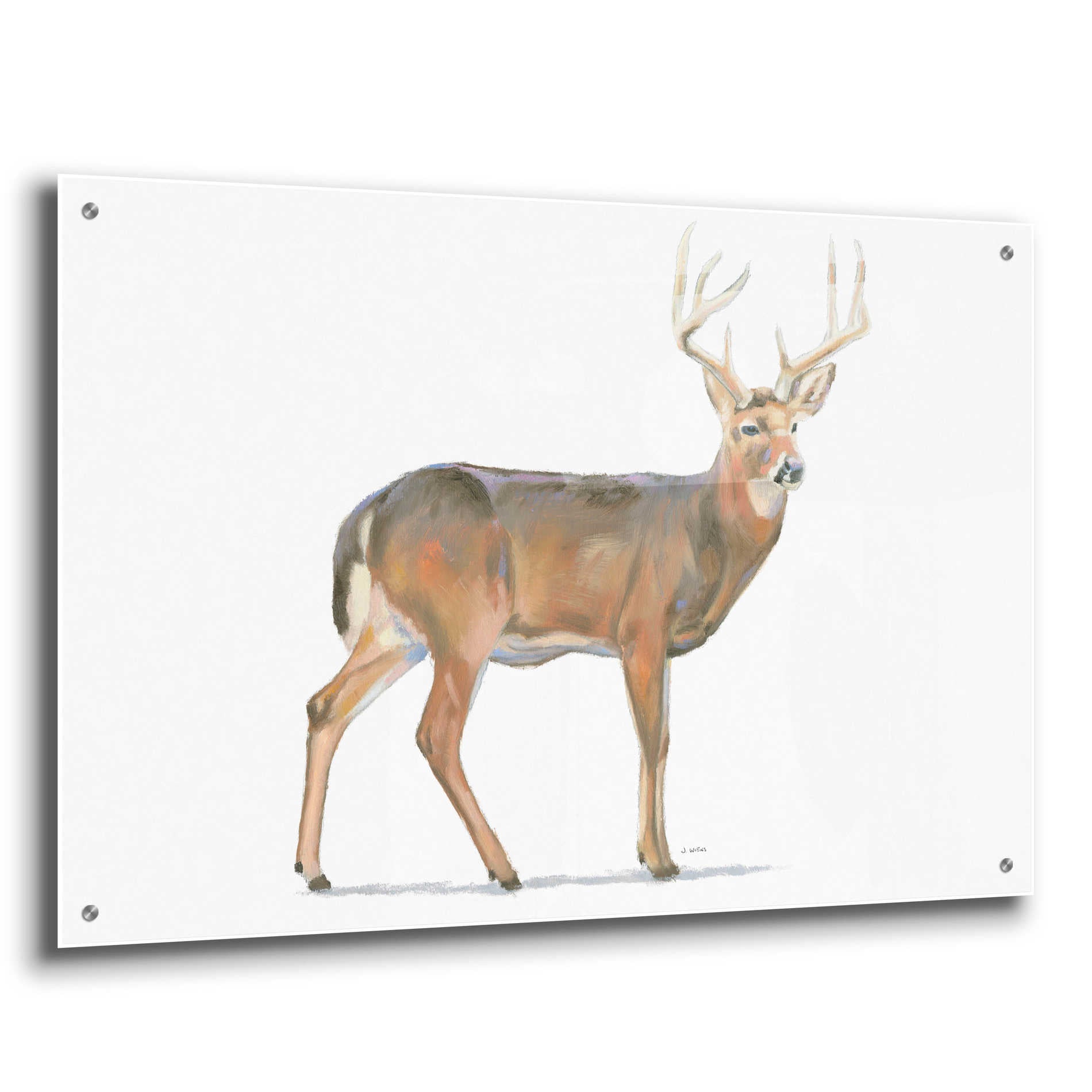 Epic Art 'Northern Wild V' by James Wiens, Acrylic Glass Wall Art,36x24