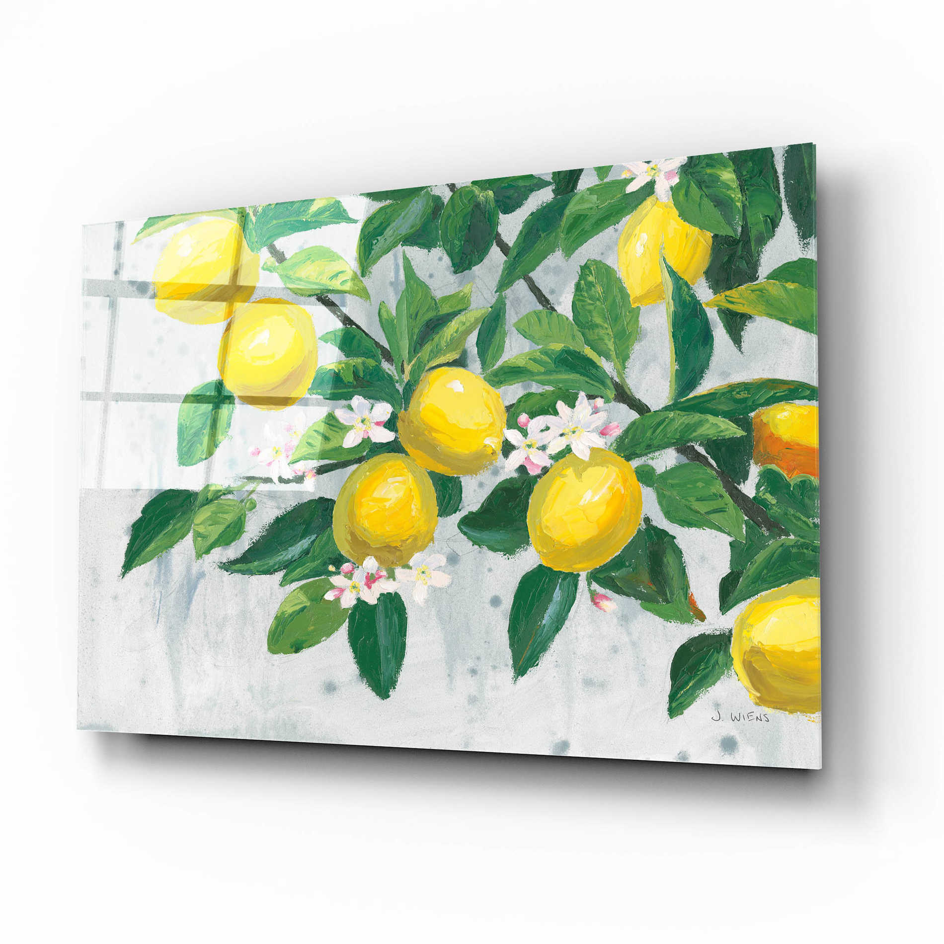 Epic Art 'Zesty Lemons' by James Wiens, Acrylic Glass Wall Art,16x12