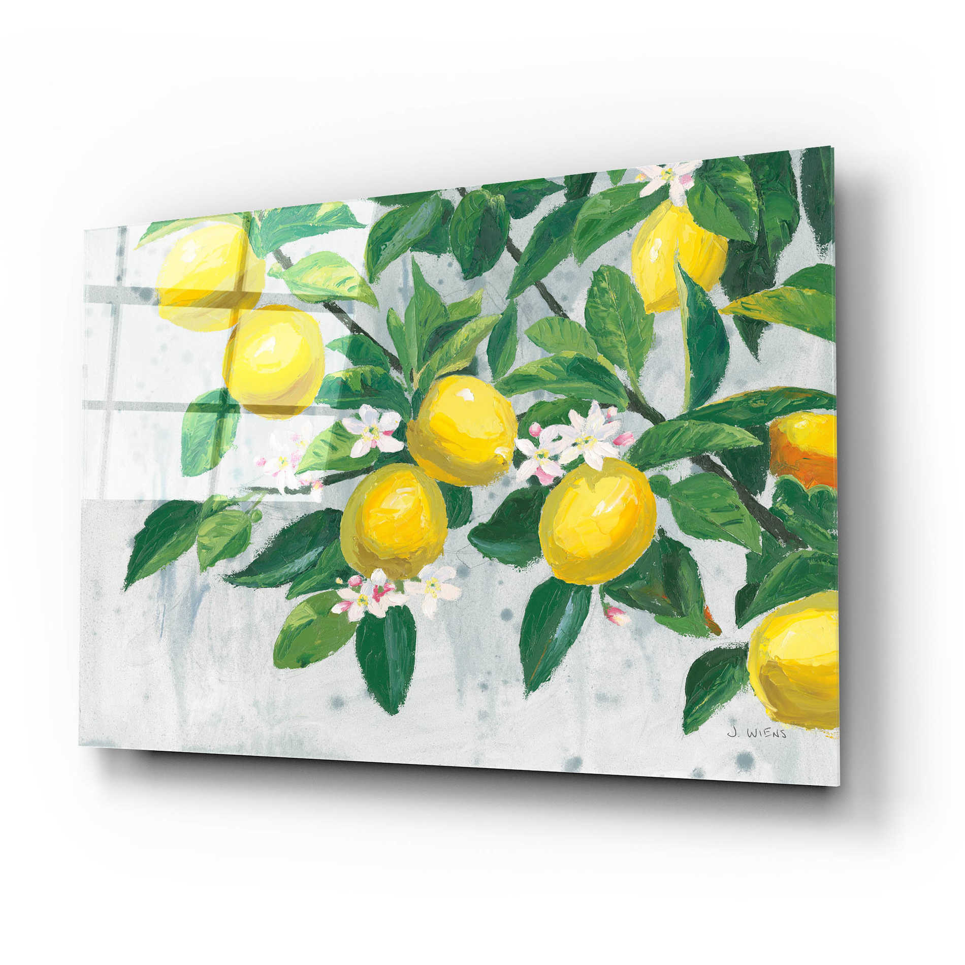 Epic Art 'Zesty Lemons' by James Wiens, Acrylic Glass Wall Art,24x16