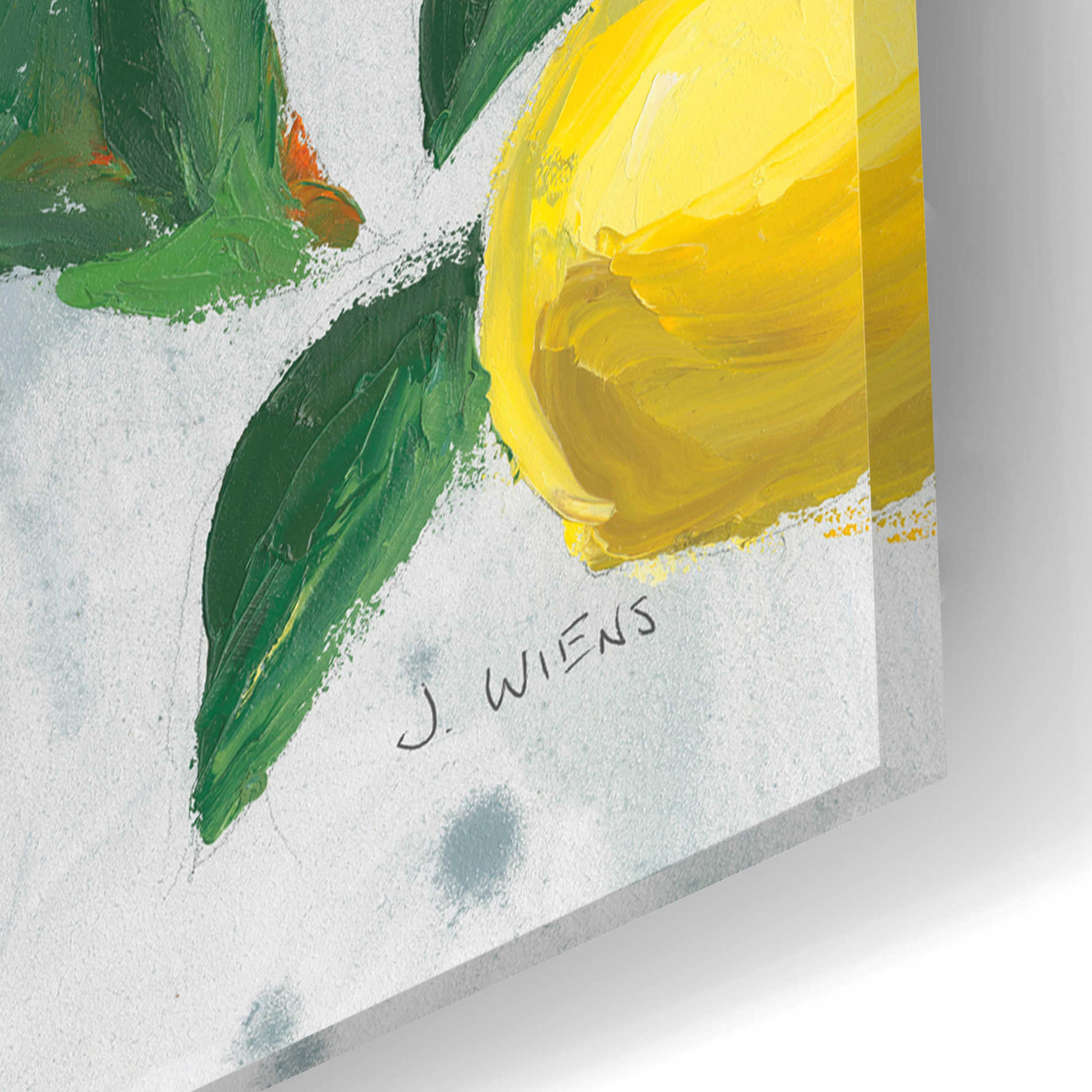 Epic Art 'Zesty Lemons' by James Wiens, Acrylic Glass Wall Art,24x16