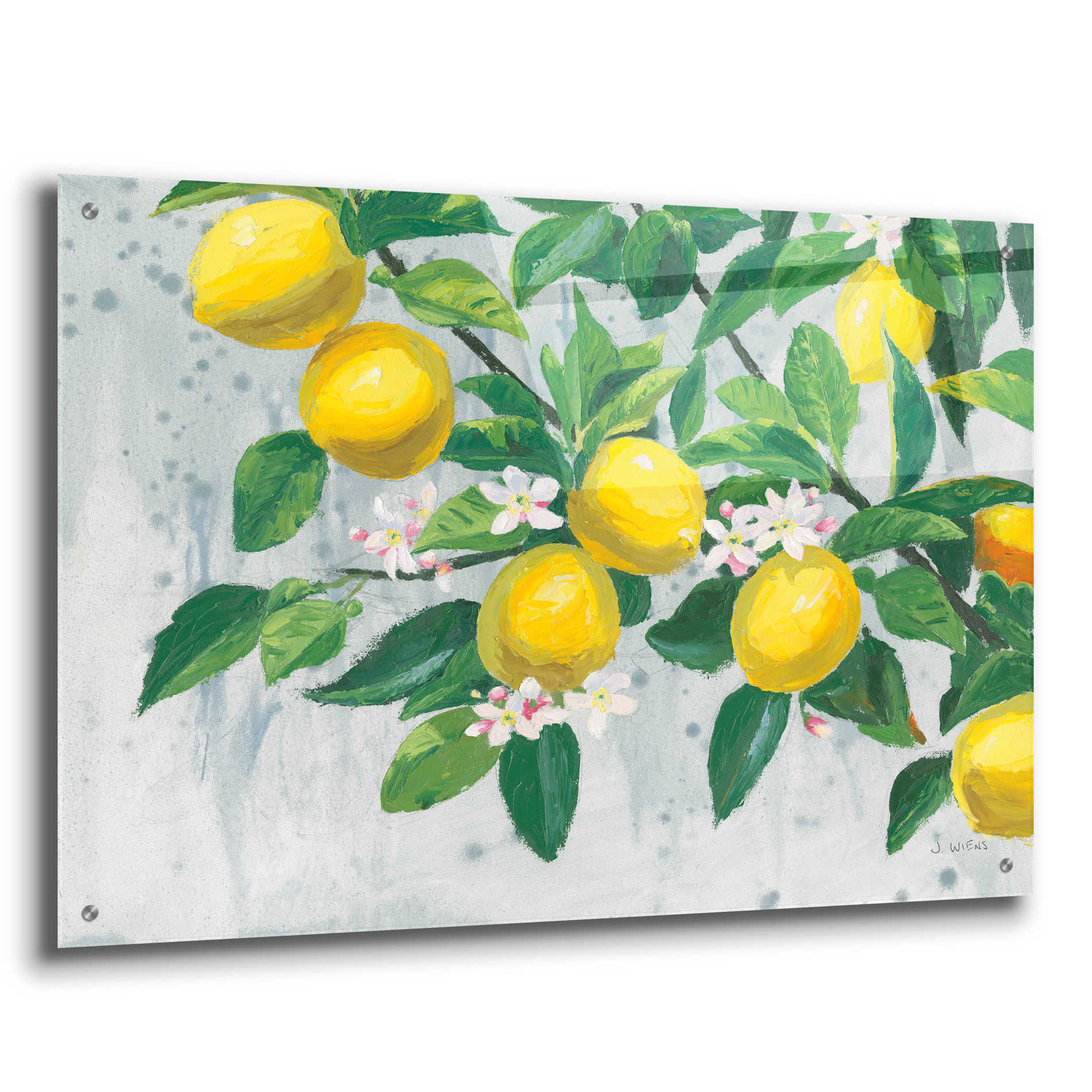 Epic Art 'Zesty Lemons' by James Wiens, Acrylic Glass Wall Art,36x24