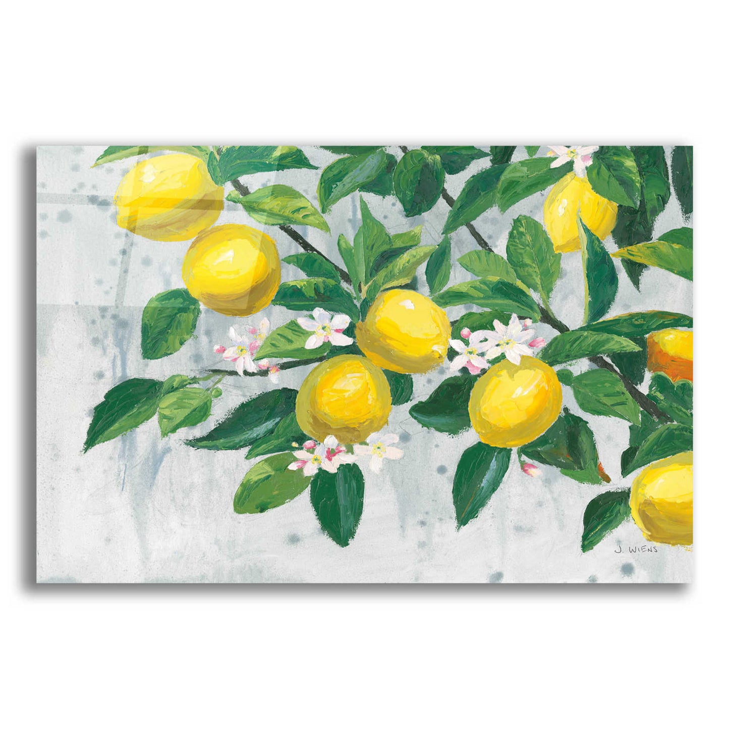 Epic Art 'Zesty Lemons' by James Wiens, Acrylic Glass Wall Art,18x12x1.1x0,26x18x1.1x0,40x26x1.74x0,60x40x1.74x0