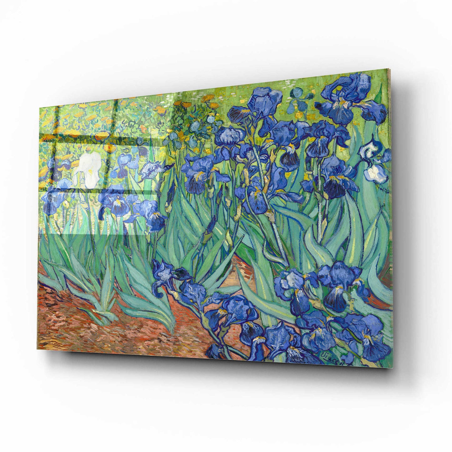 Epic Art 'Irises' by Vincent van Gogh, Acrylic Glass Wall Art,16x12