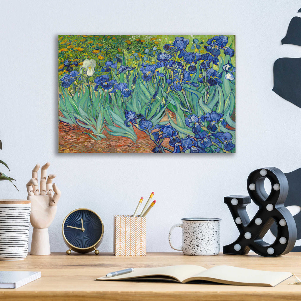 Epic Art 'Irises' by Vincent van Gogh, Acrylic Glass Wall Art,16x12