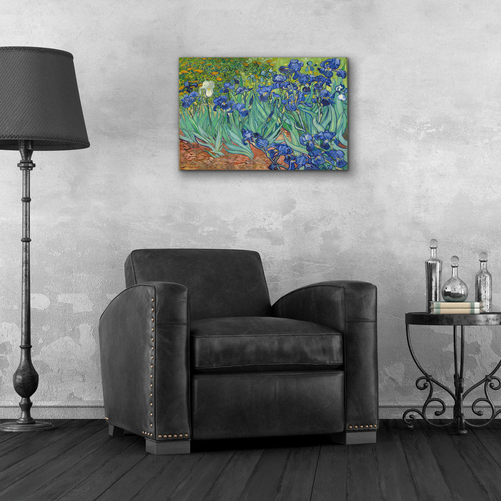 Epic Art 'Irises' by Vincent van Gogh, Acrylic Glass Wall Art,24x16