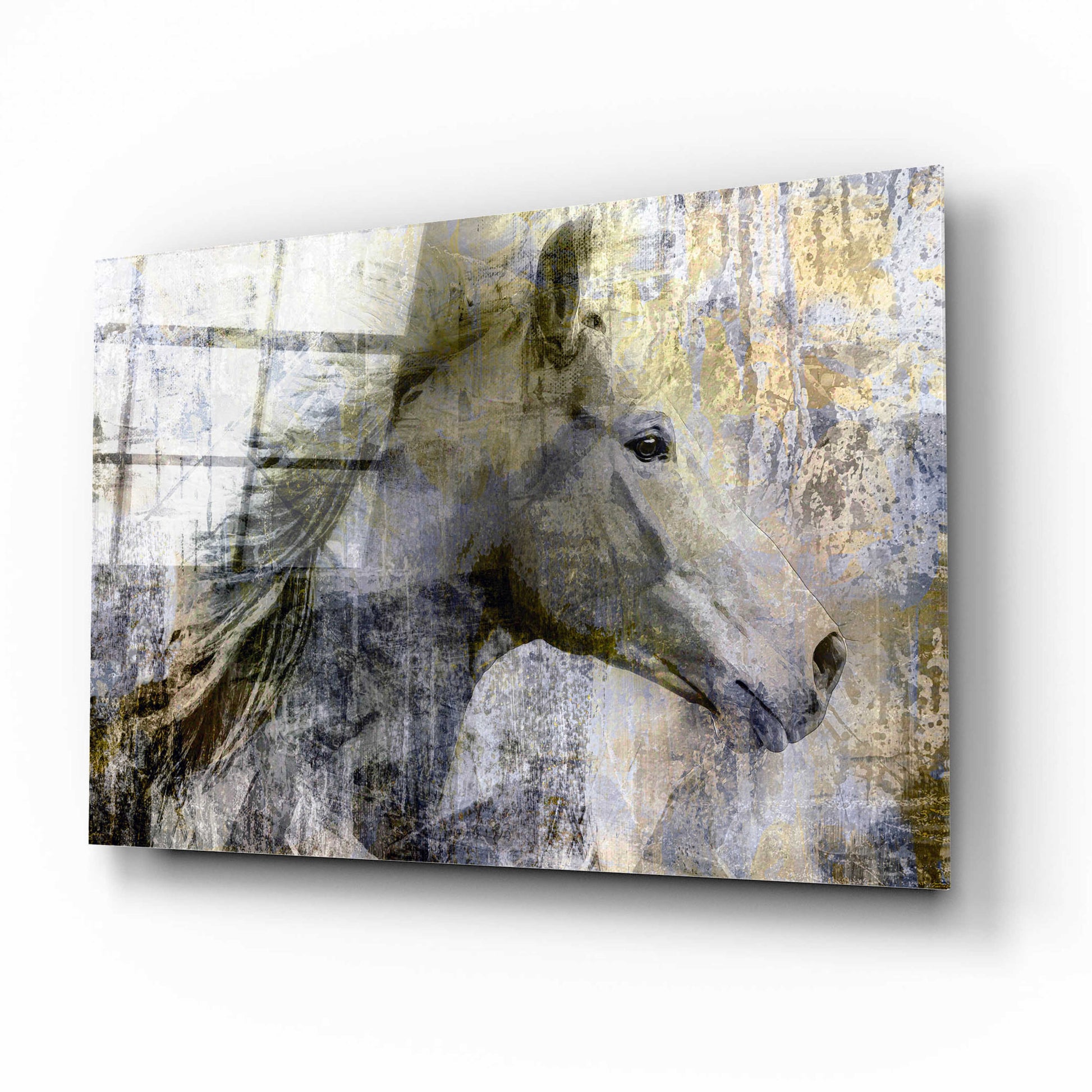 Epic Art 'Vintage Horse,' Acrylic Glass Wall Art,16x12