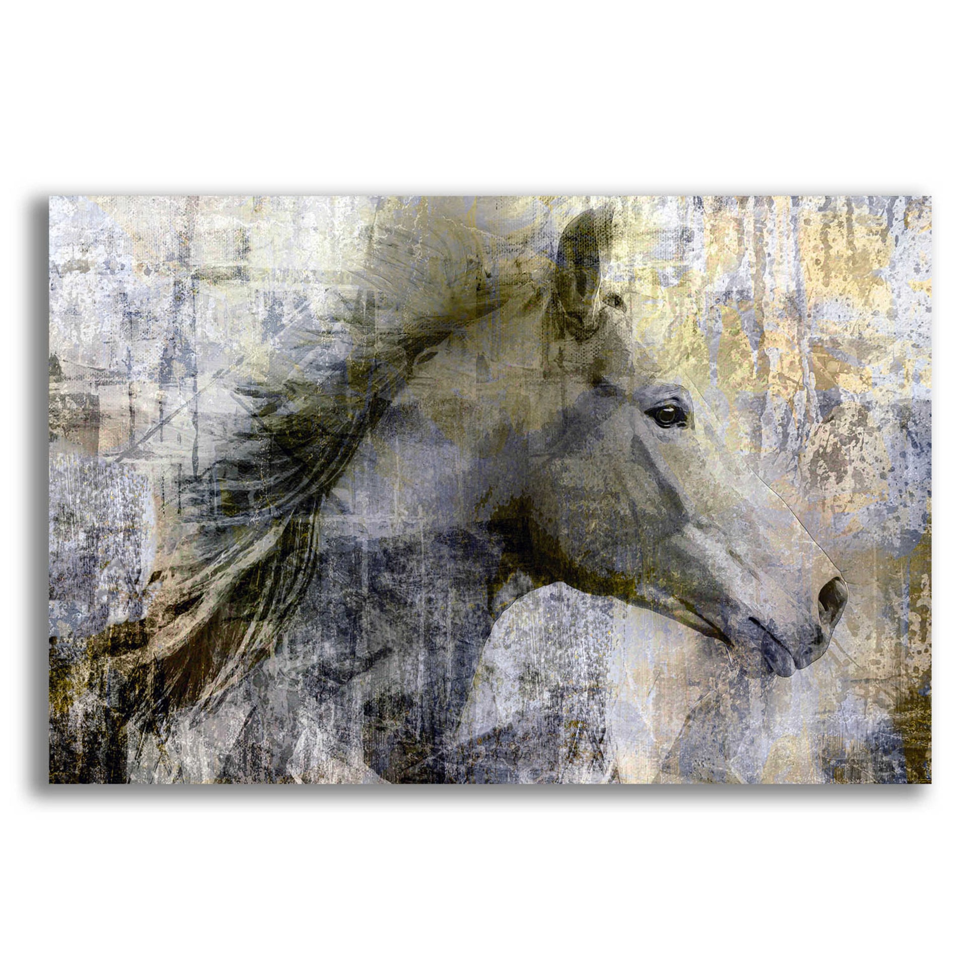 Epic Art 'Vintage Horse,' Acrylic Glass Wall Art,18x12x1.1x0,26x18x1.1x0,40x26x1.74x0,60x40x1.74x0