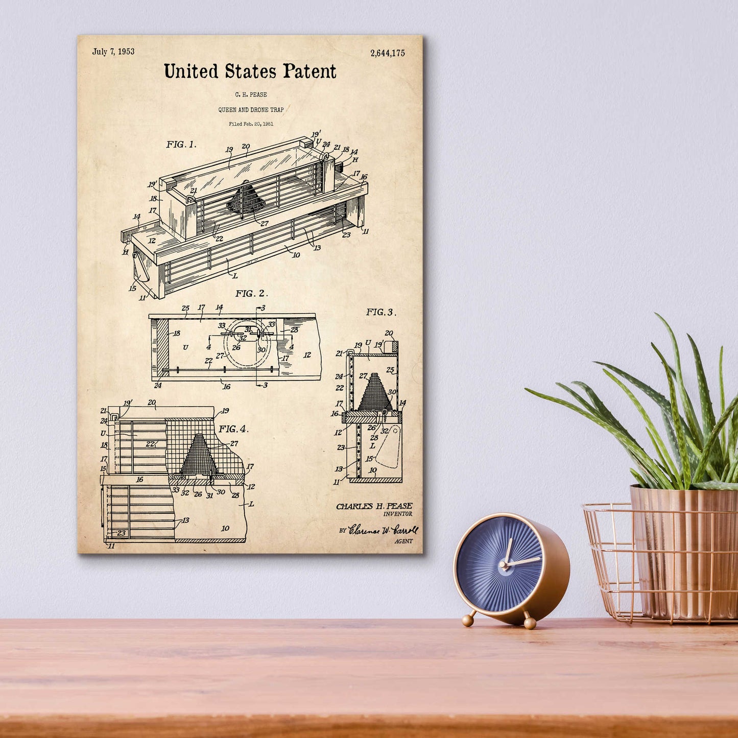 Epic Art 'Queen and Drone Trap  Blueprint Patent Parchment,' Acrylic Glass Wall Art,12x16