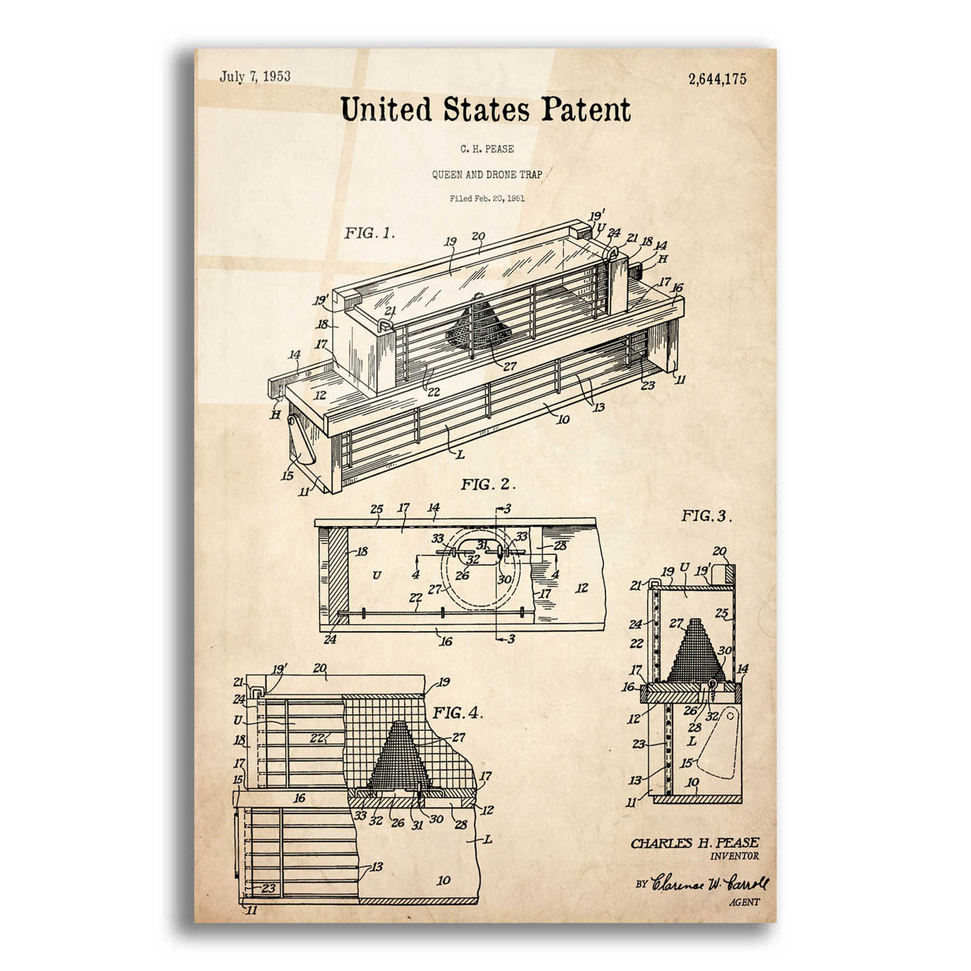 Epic Art 'Queen and Drone Trap  Blueprint Patent Parchment,' Acrylic Glass Wall Art,12x16