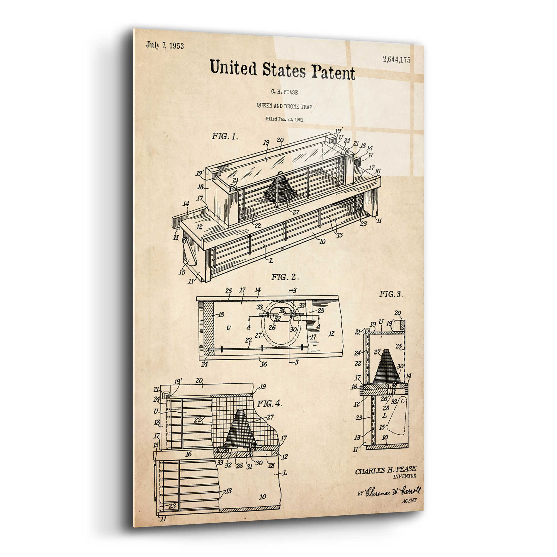 Epic Art 'Queen and Drone Trap  Blueprint Patent Parchment,' Acrylic Glass Wall Art,16x24