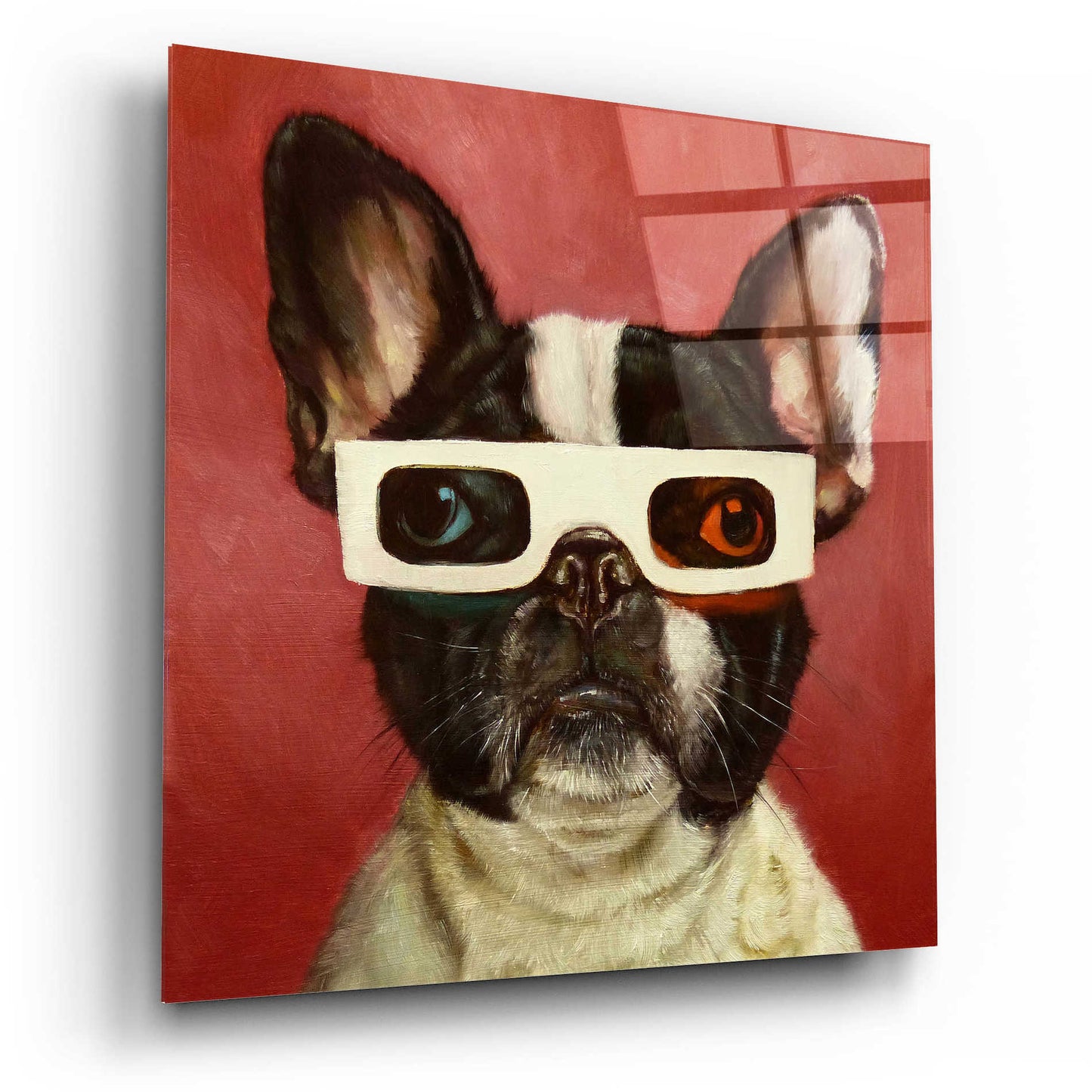 Epic Art '3D Dog' by Lucia Heffernan, Acrylic Glass Wall Art,12x12