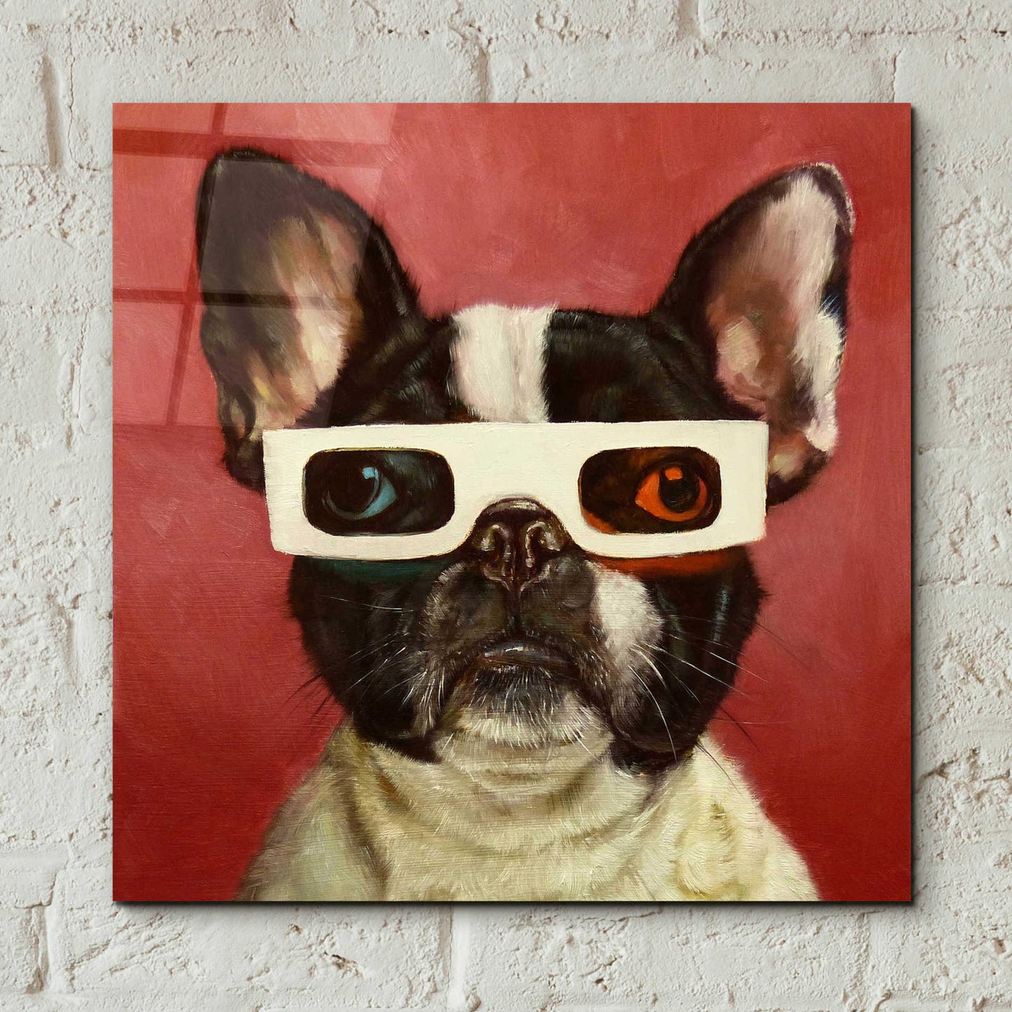 Epic Art '3D Dog' by Lucia Heffernan, Acrylic Glass Wall Art,12x12